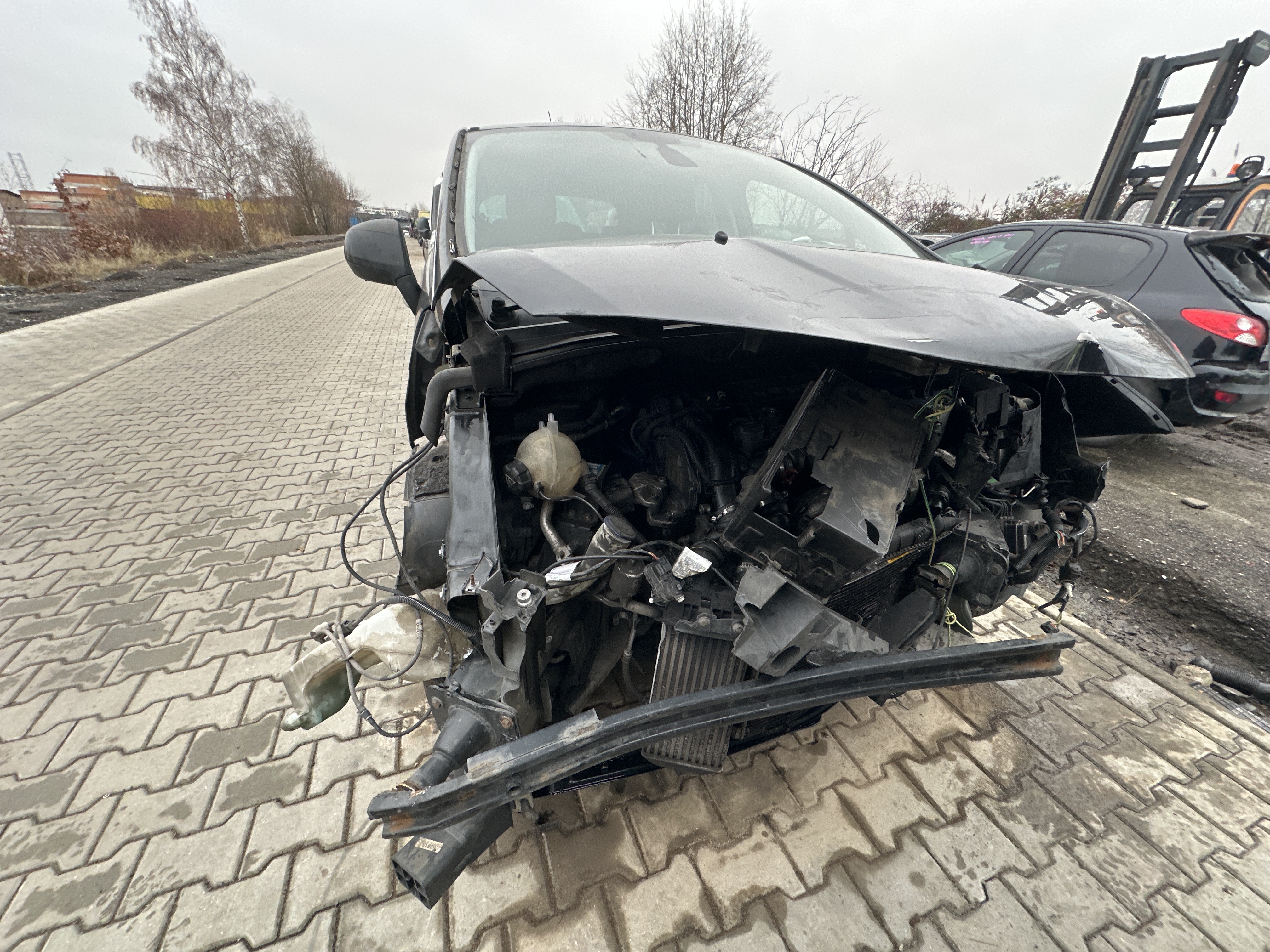 body_damage