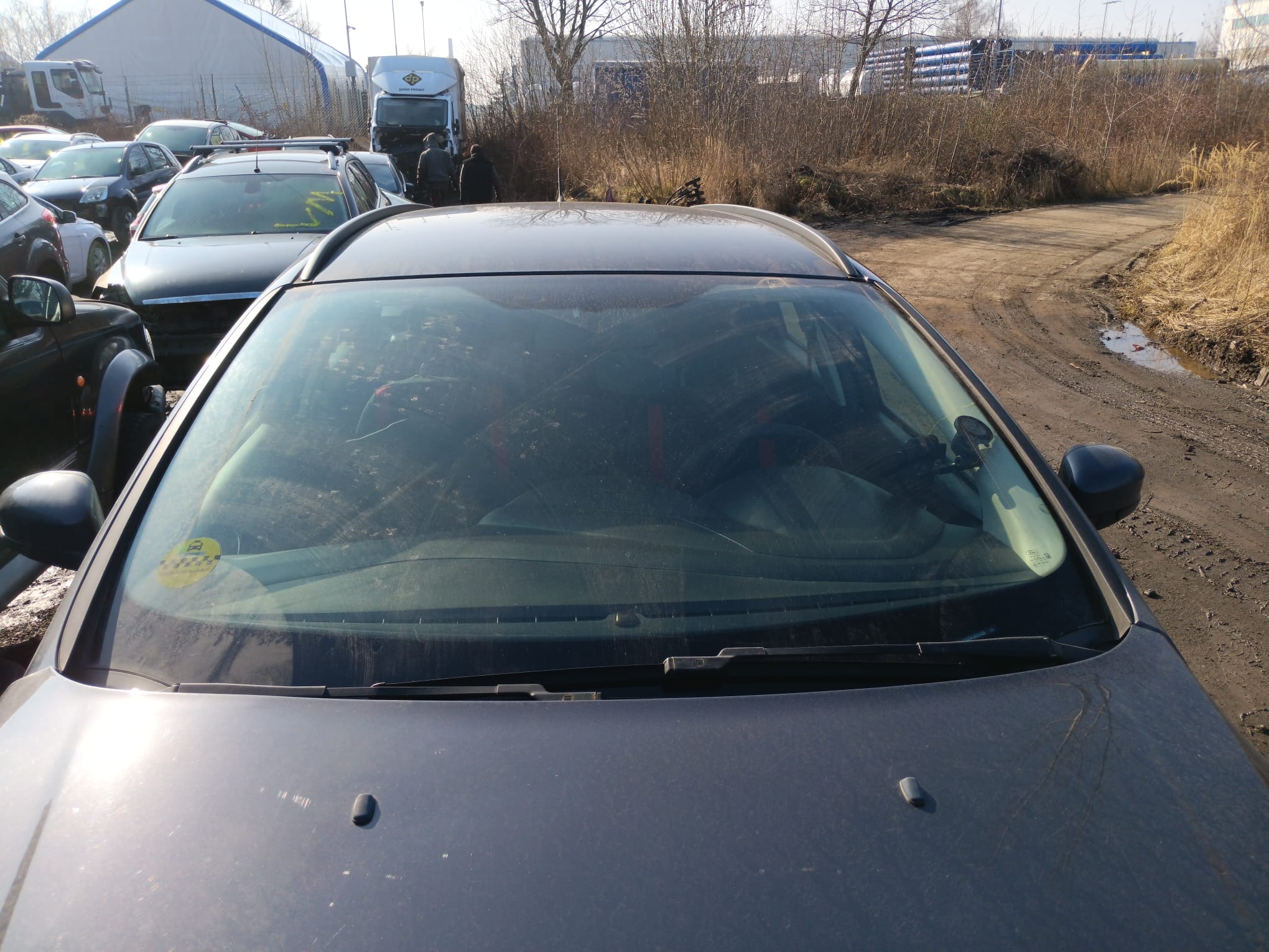 windshield