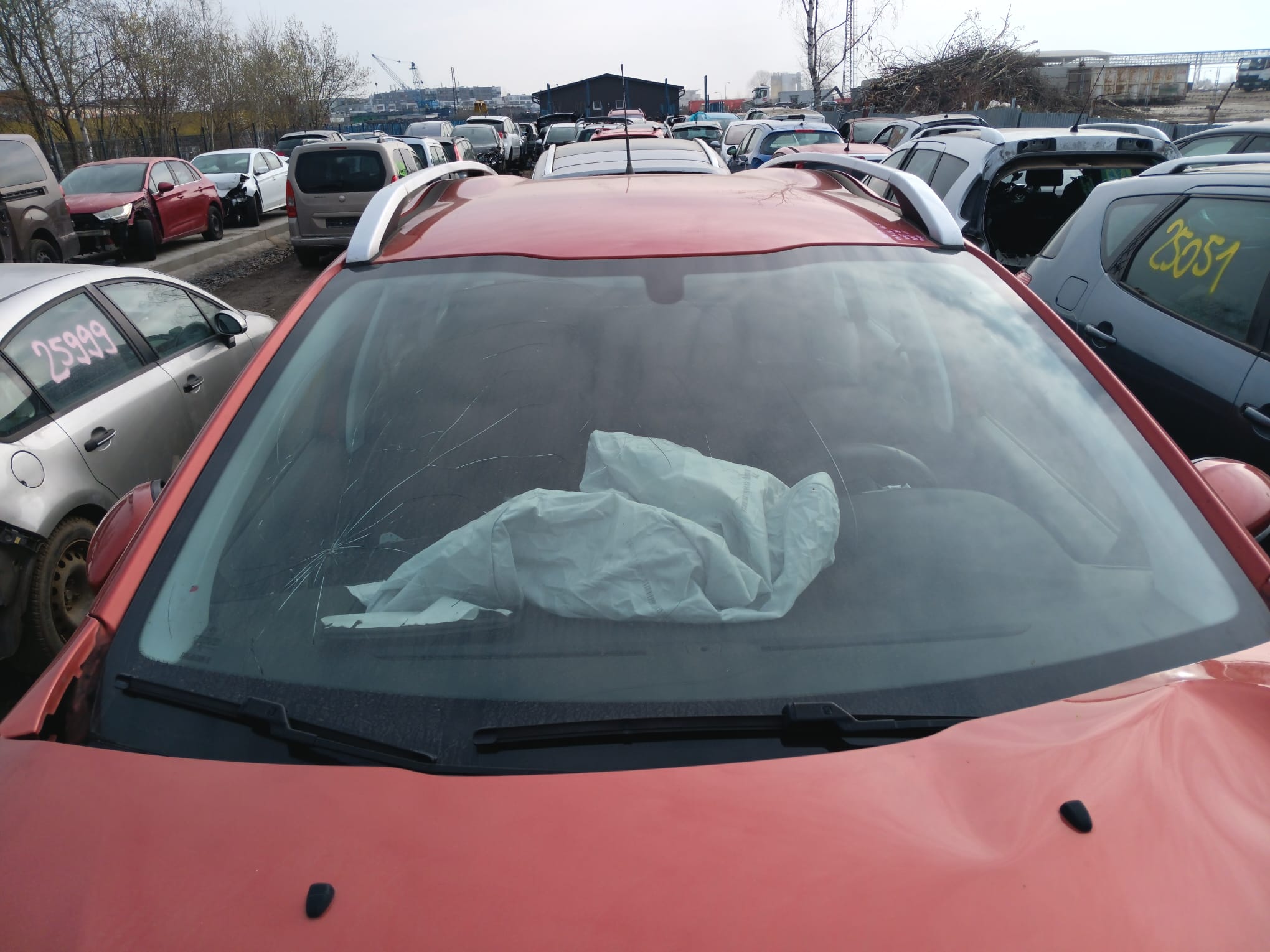 windshield