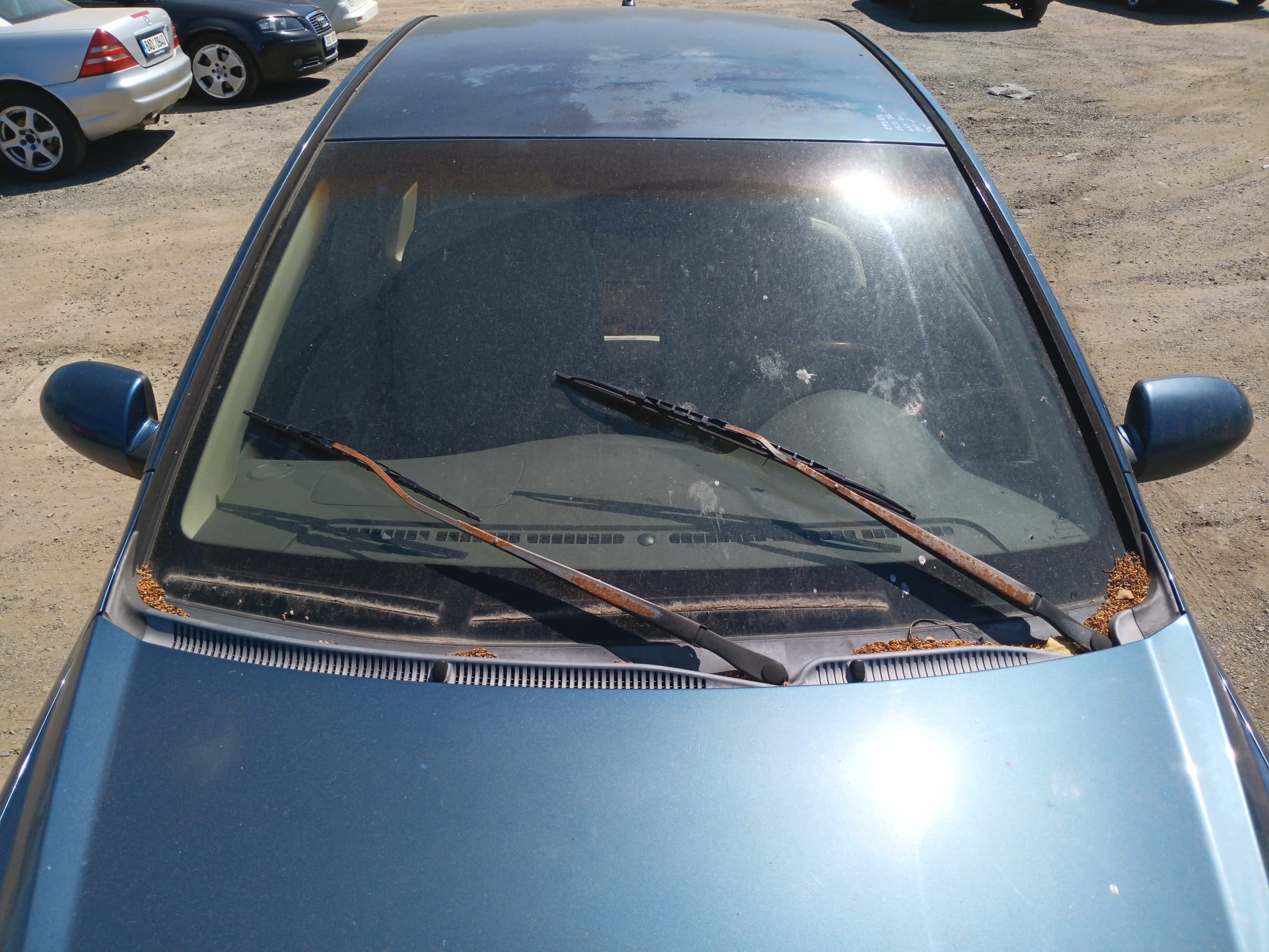 windshield