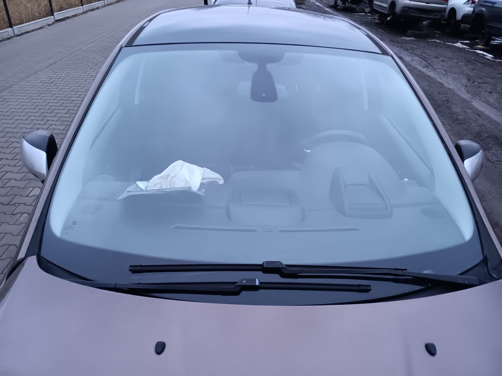 windshield