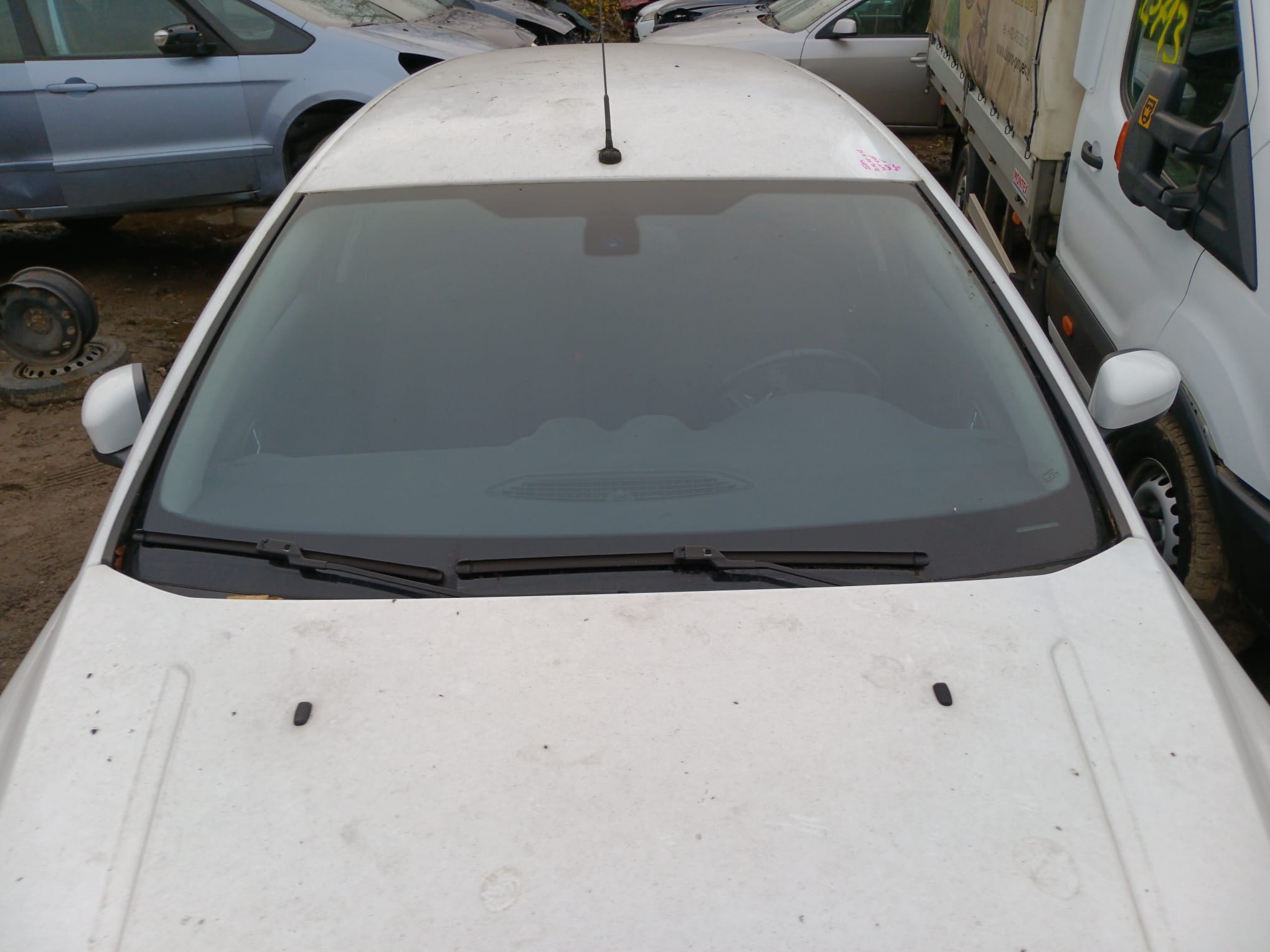 windshield