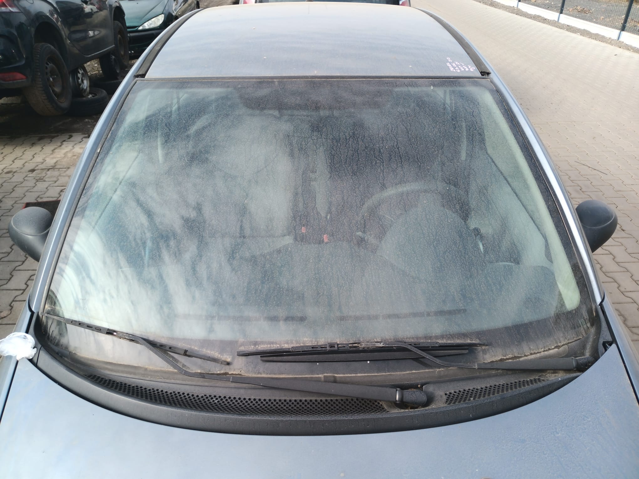 windshield