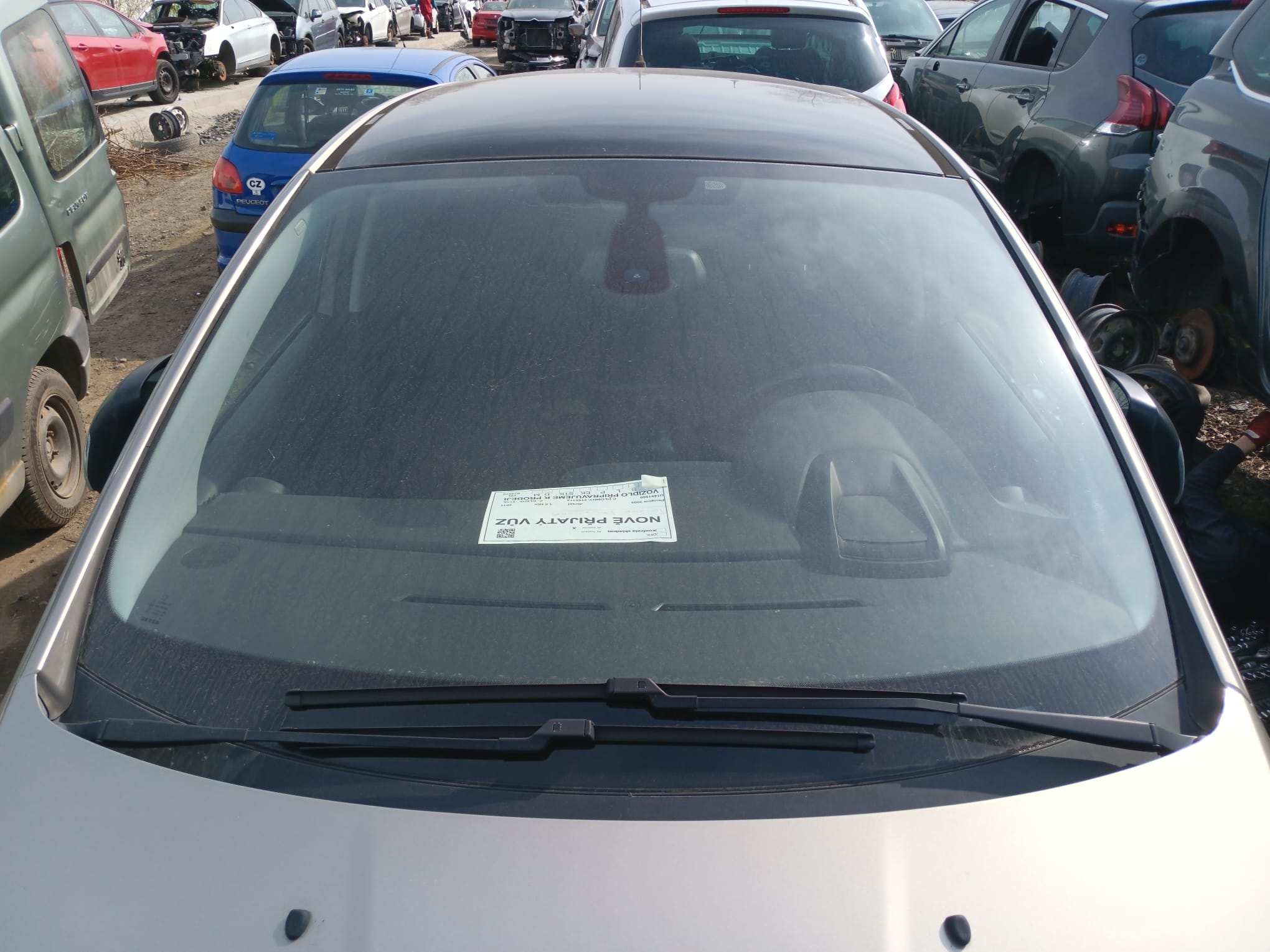 windshield