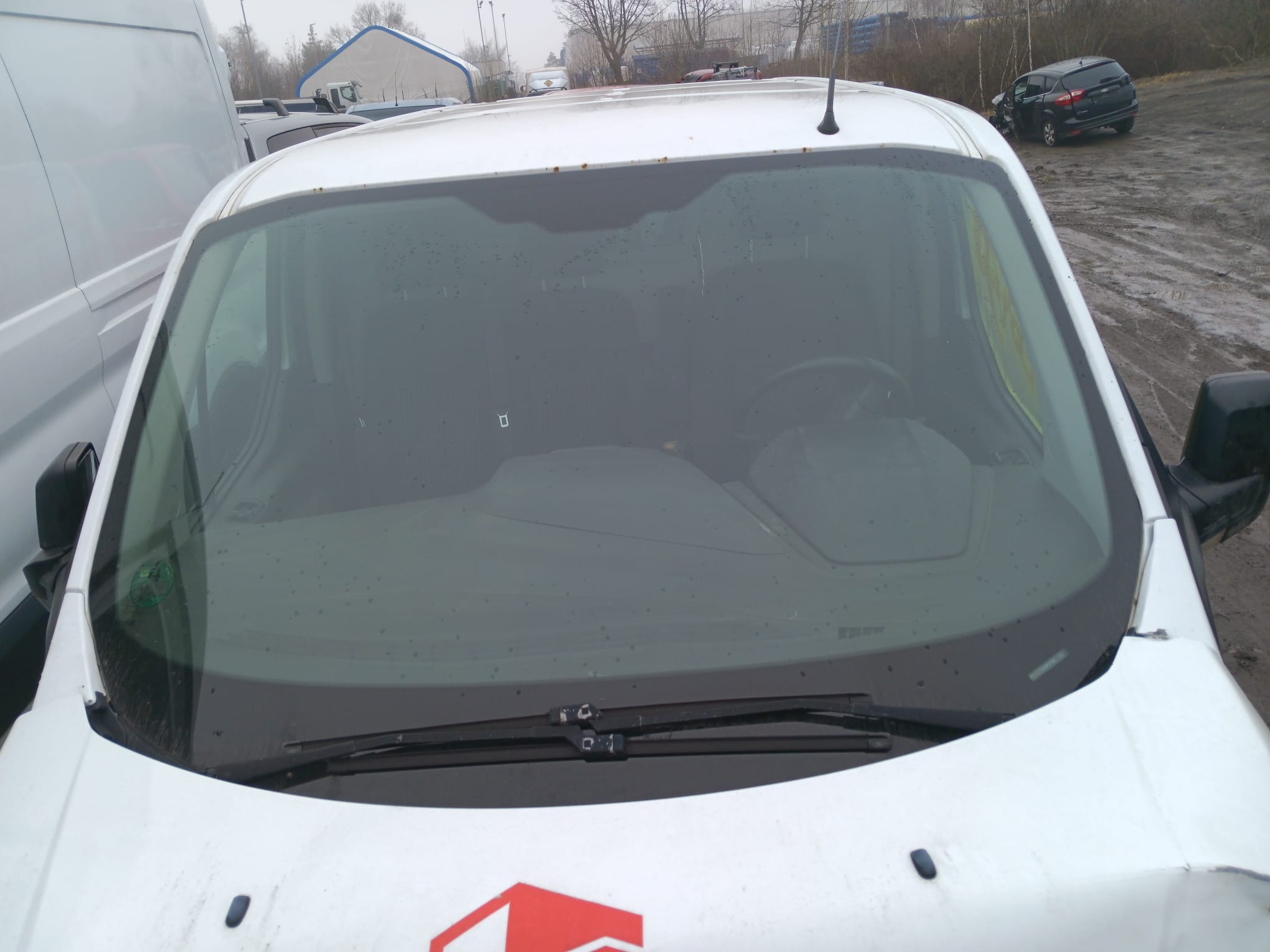 windshield