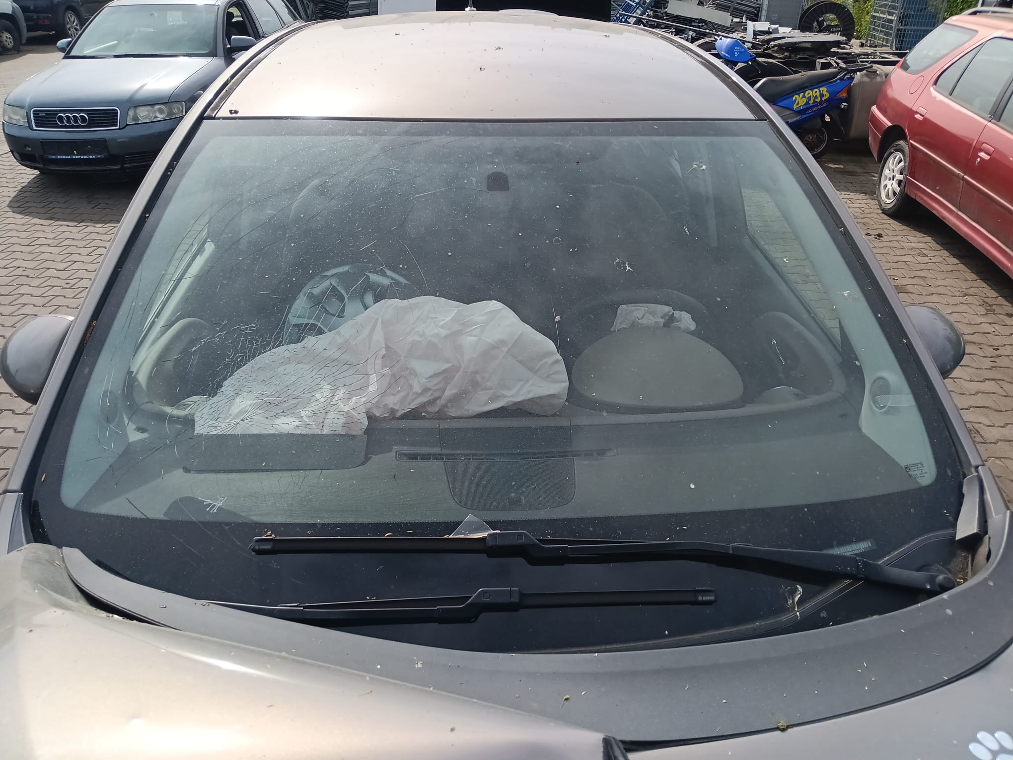 windshield