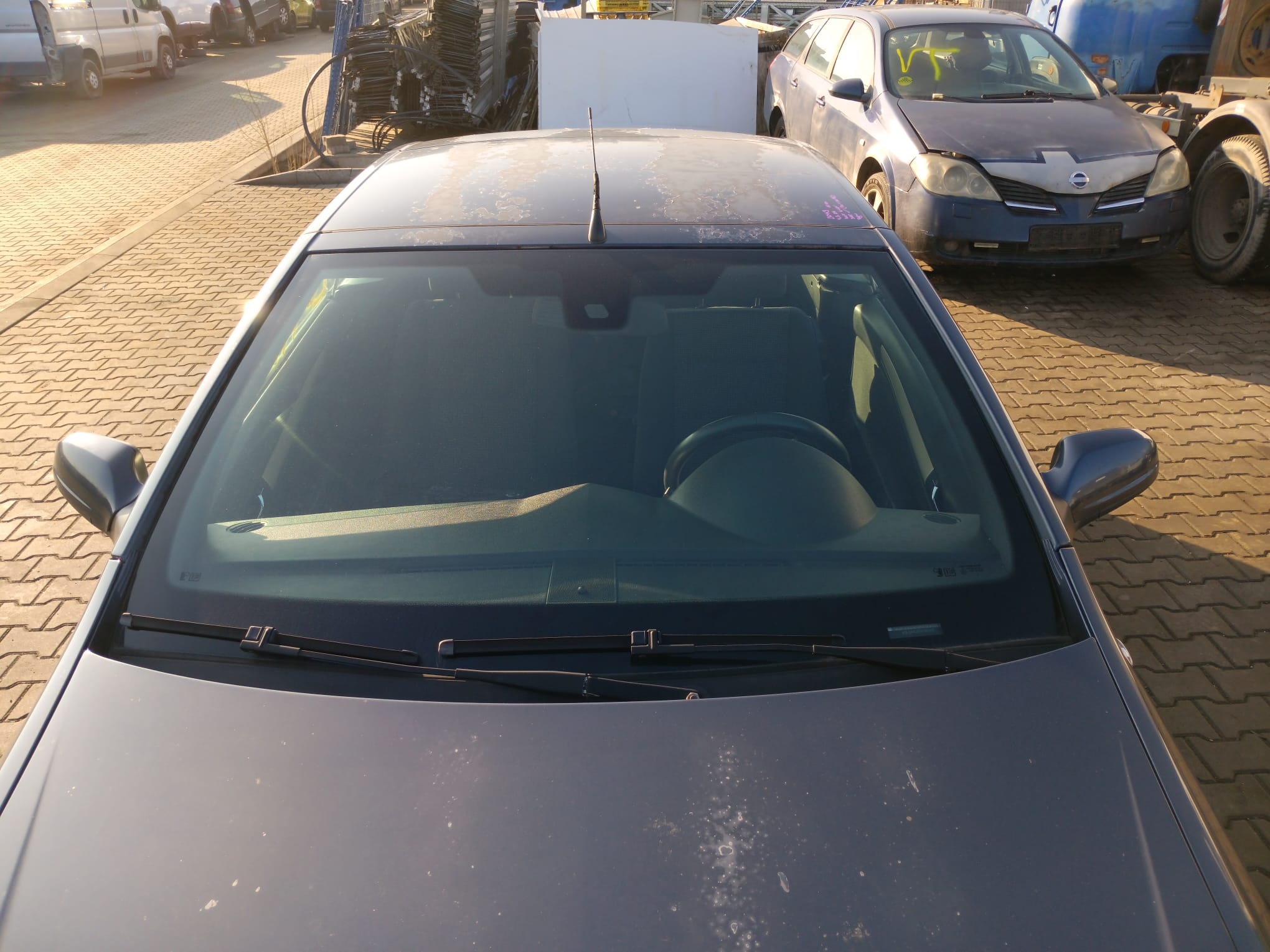 windshield