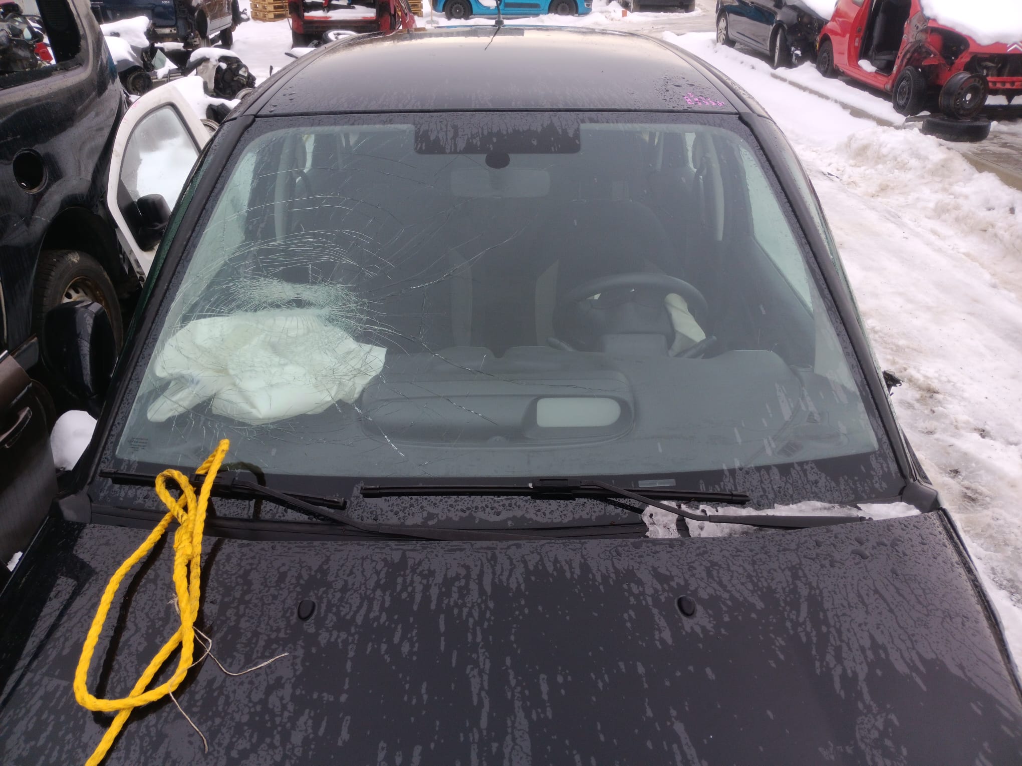 windshield