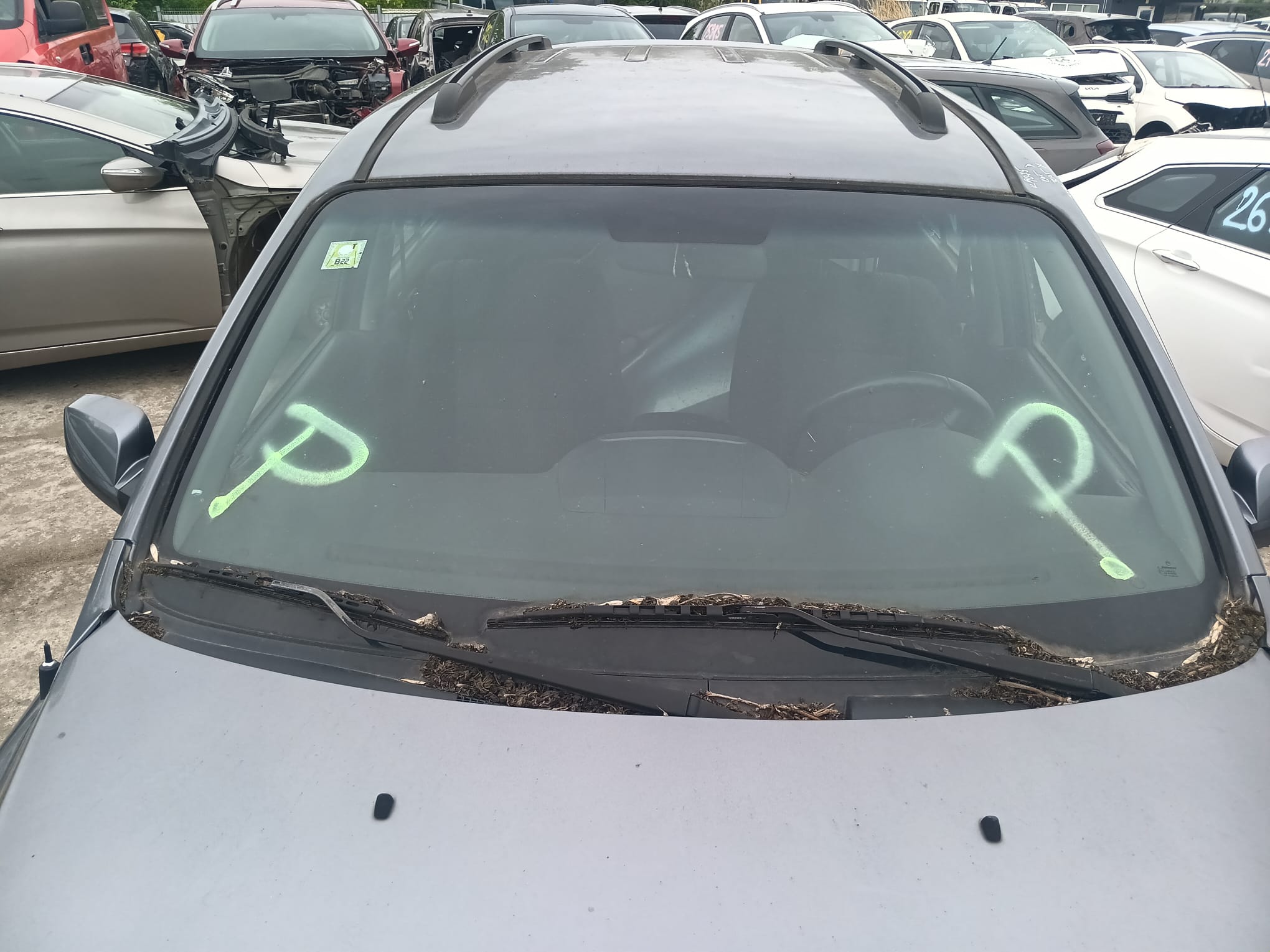 windshield