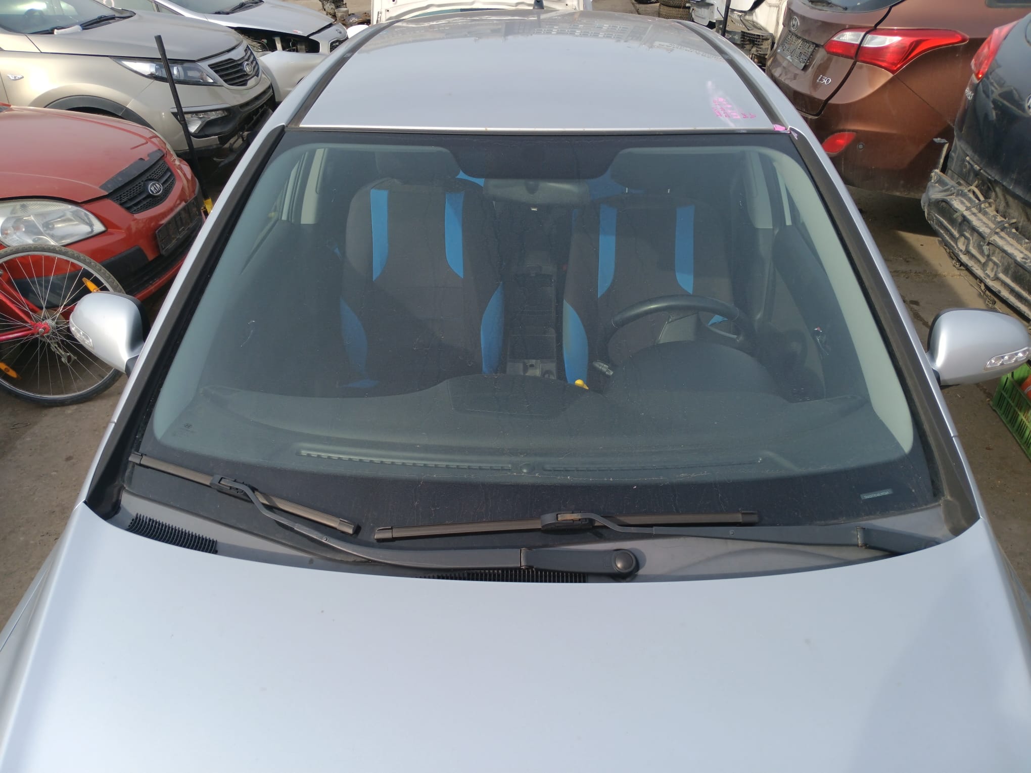 windshield