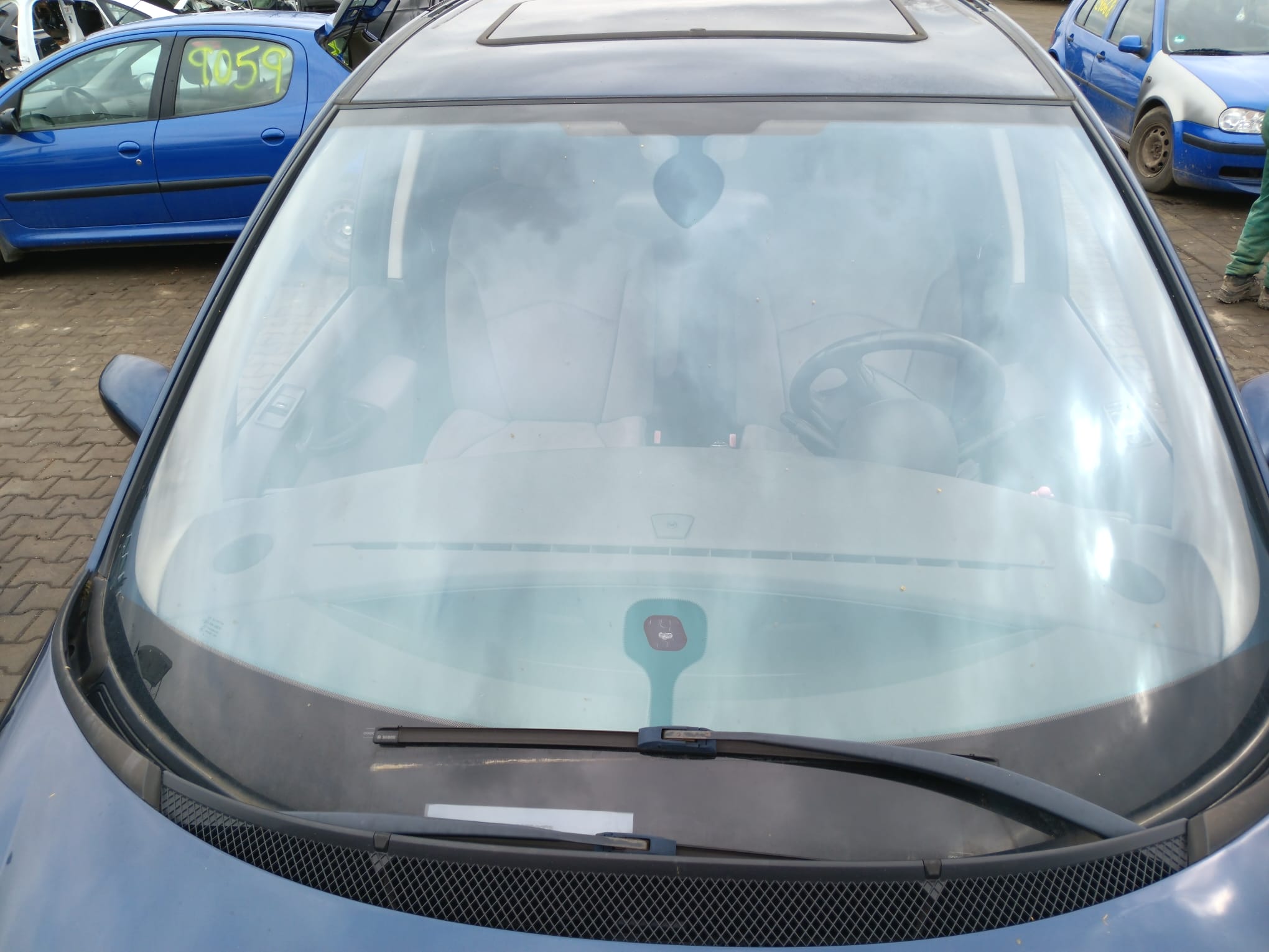 windshield