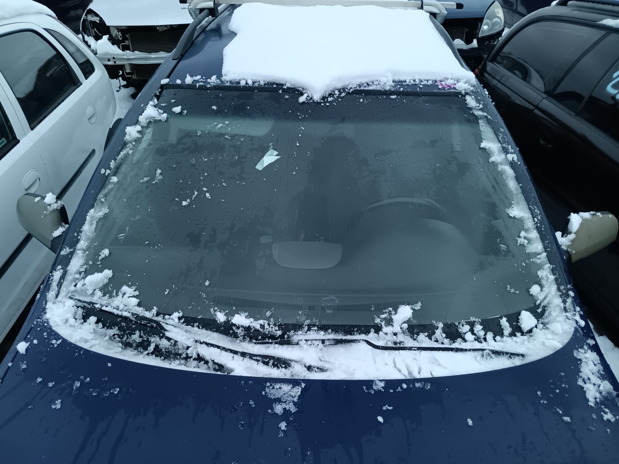 windshield