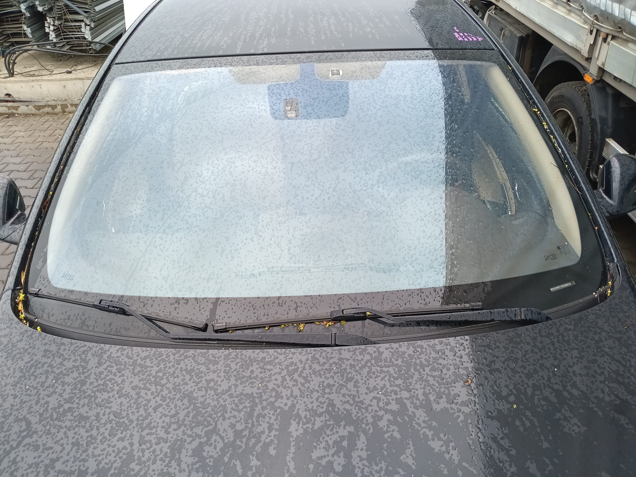 windshield