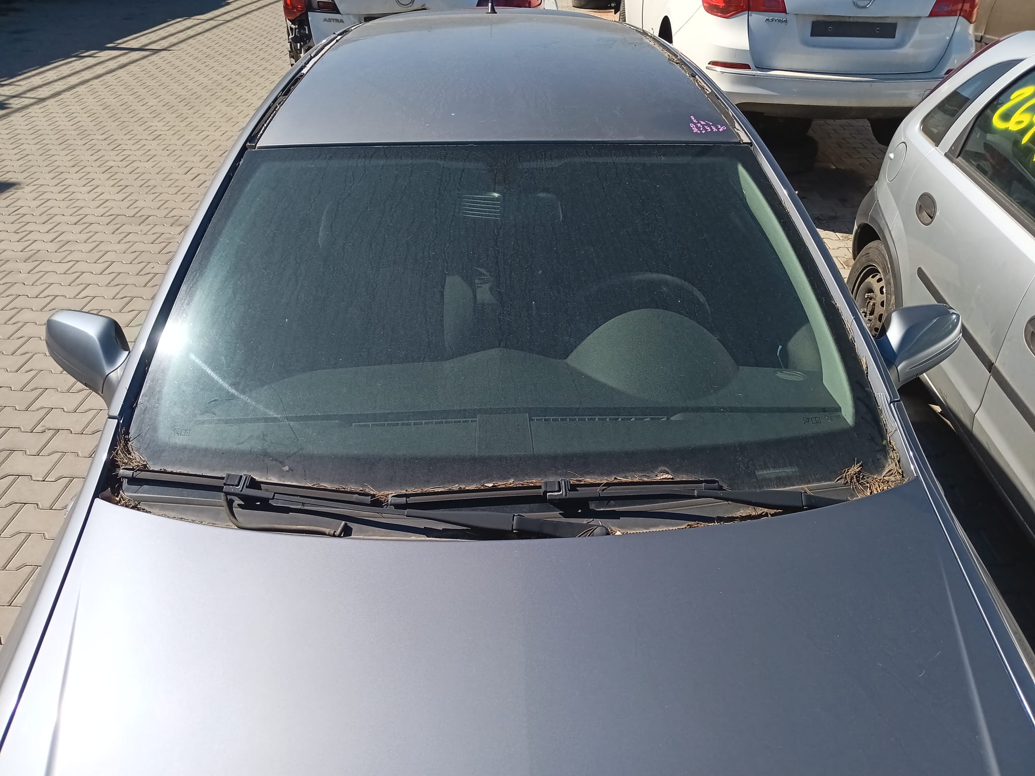 windshield