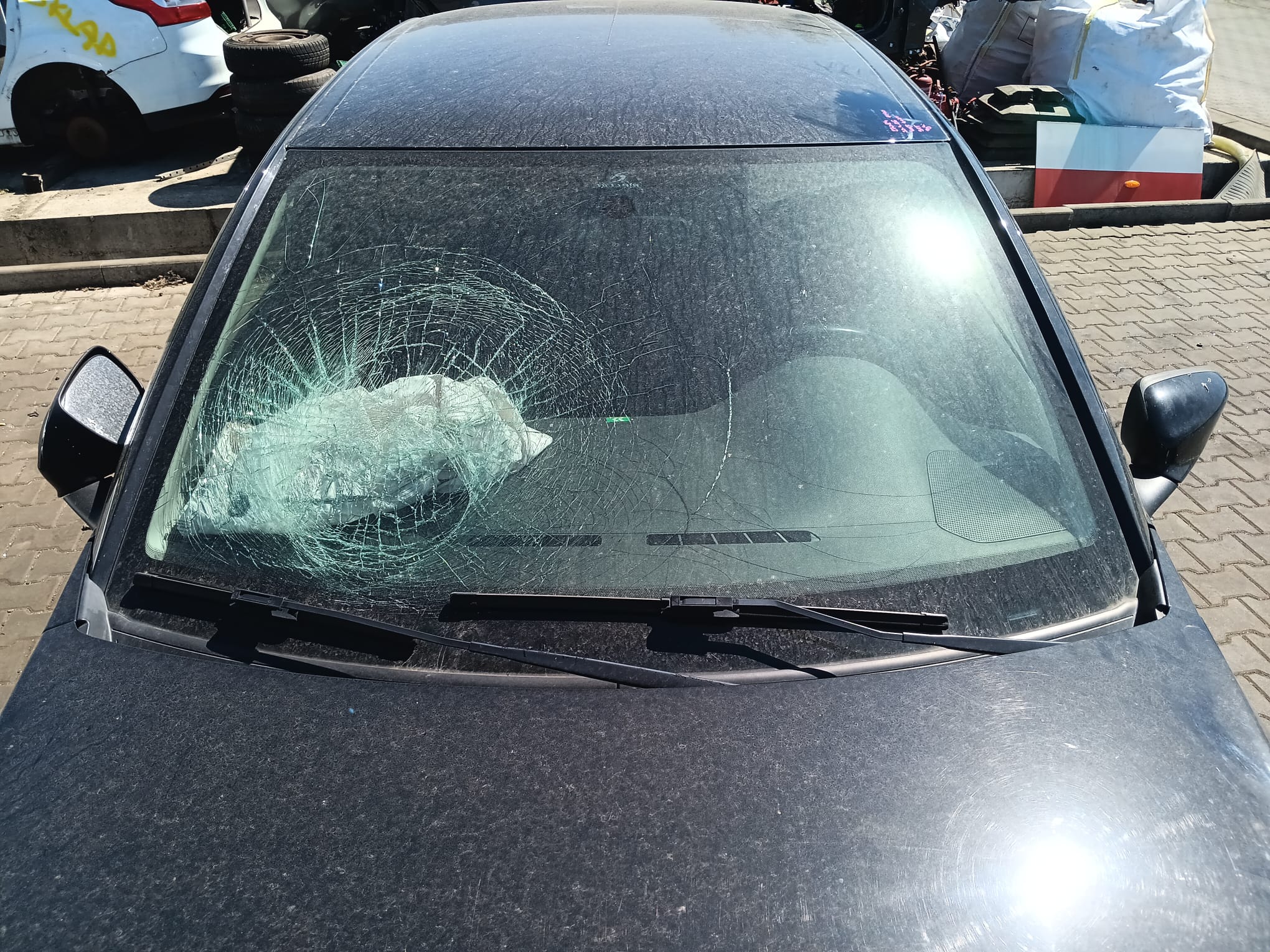 windshield