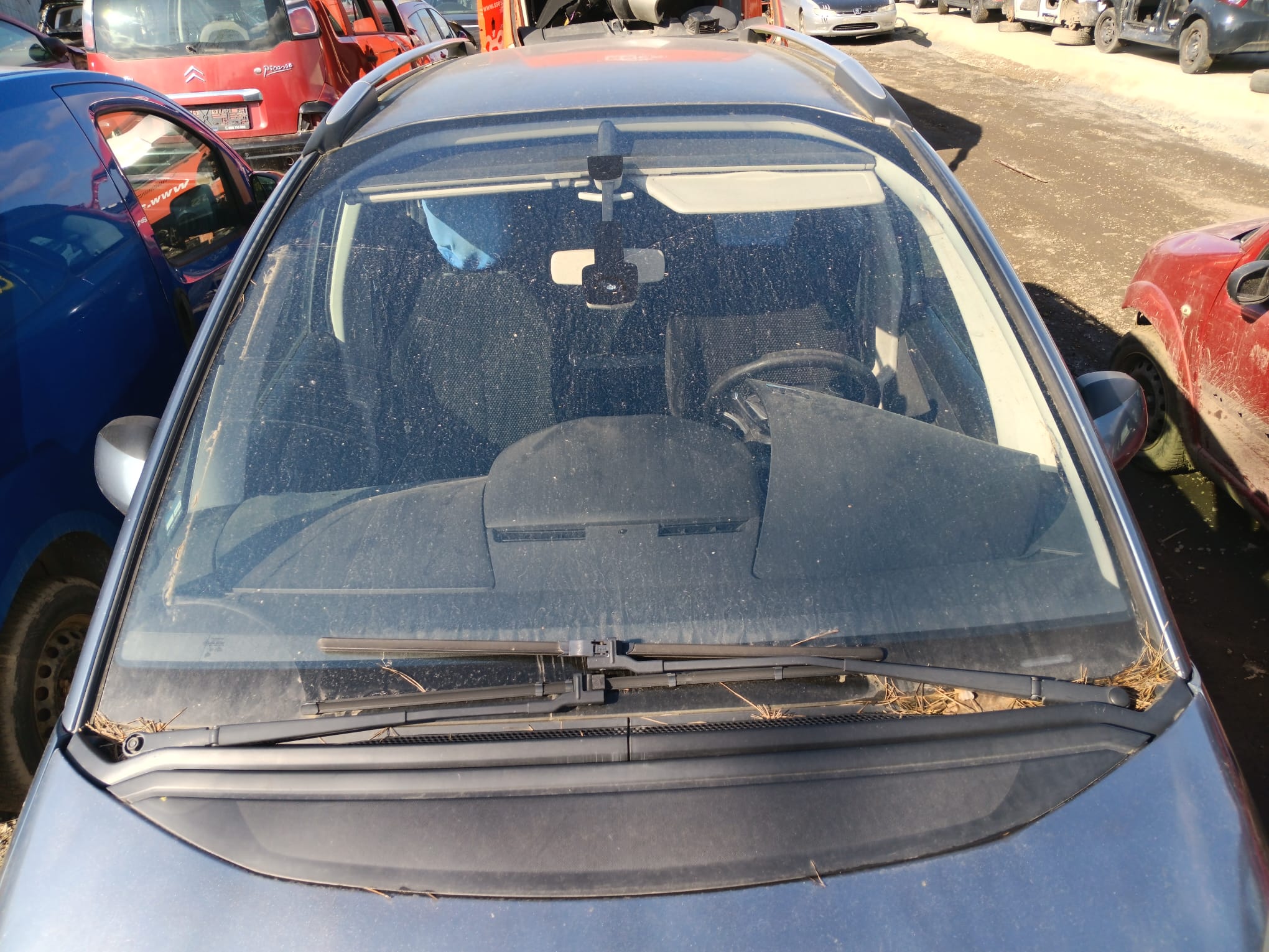 windshield