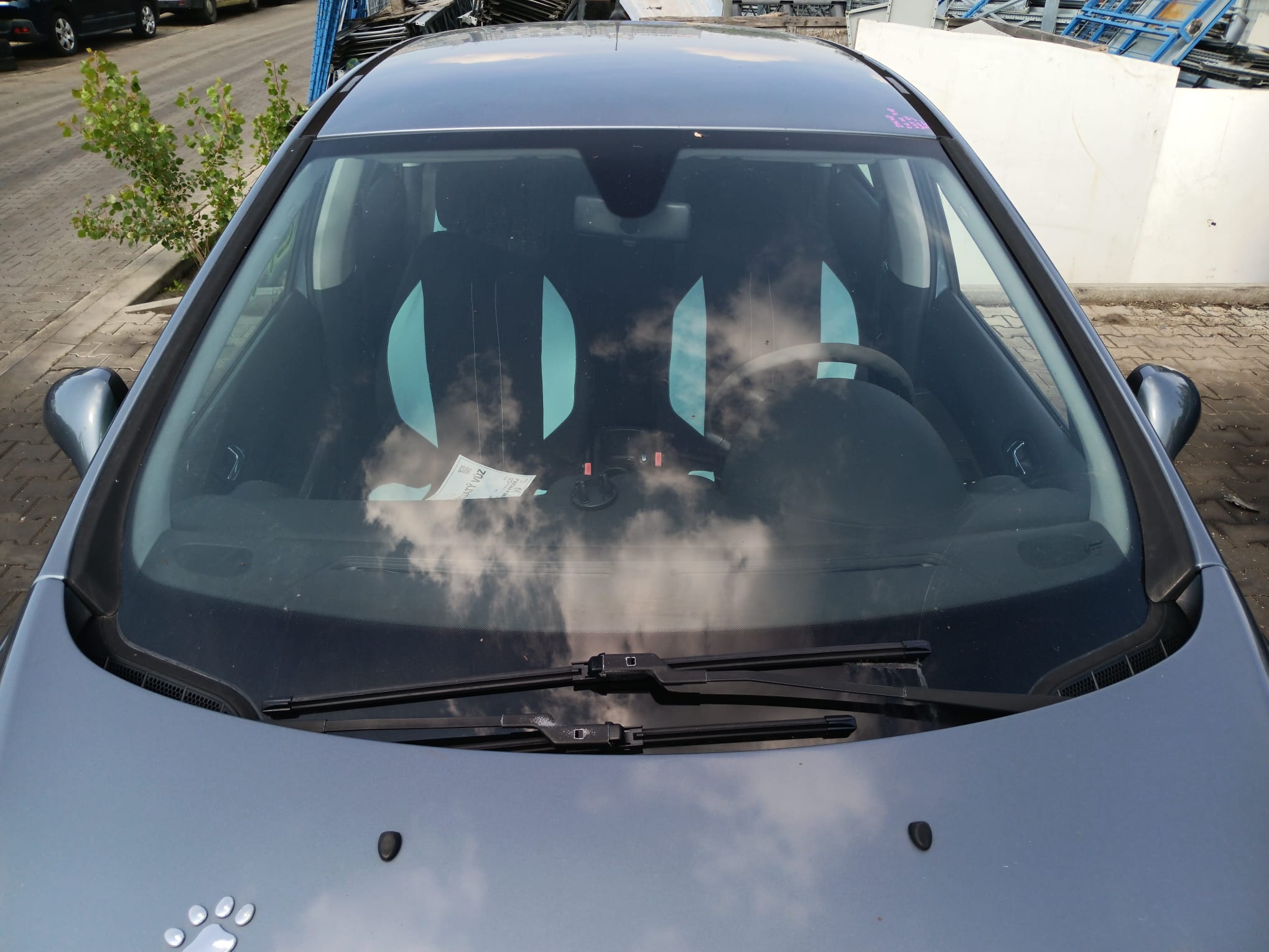 windshield
