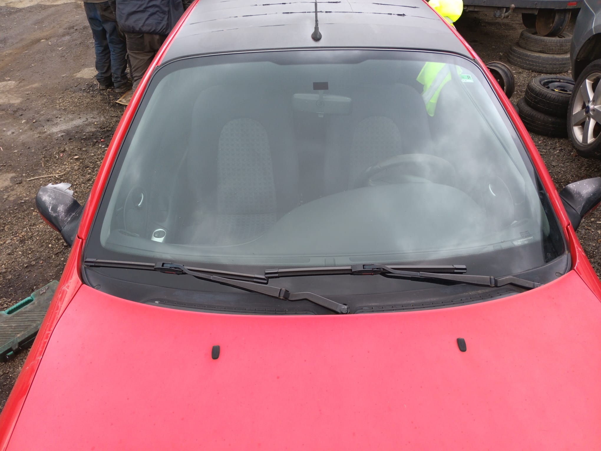 windshield