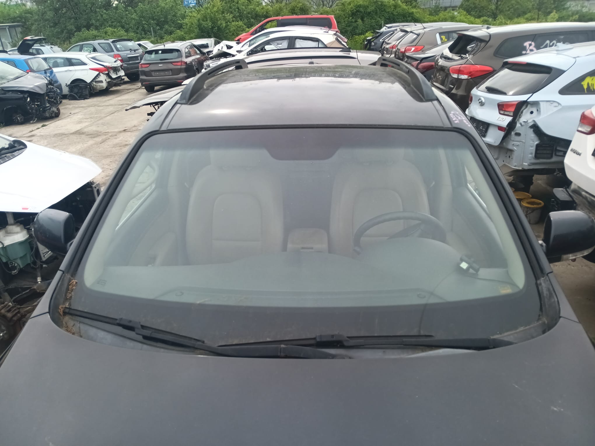 windshield
