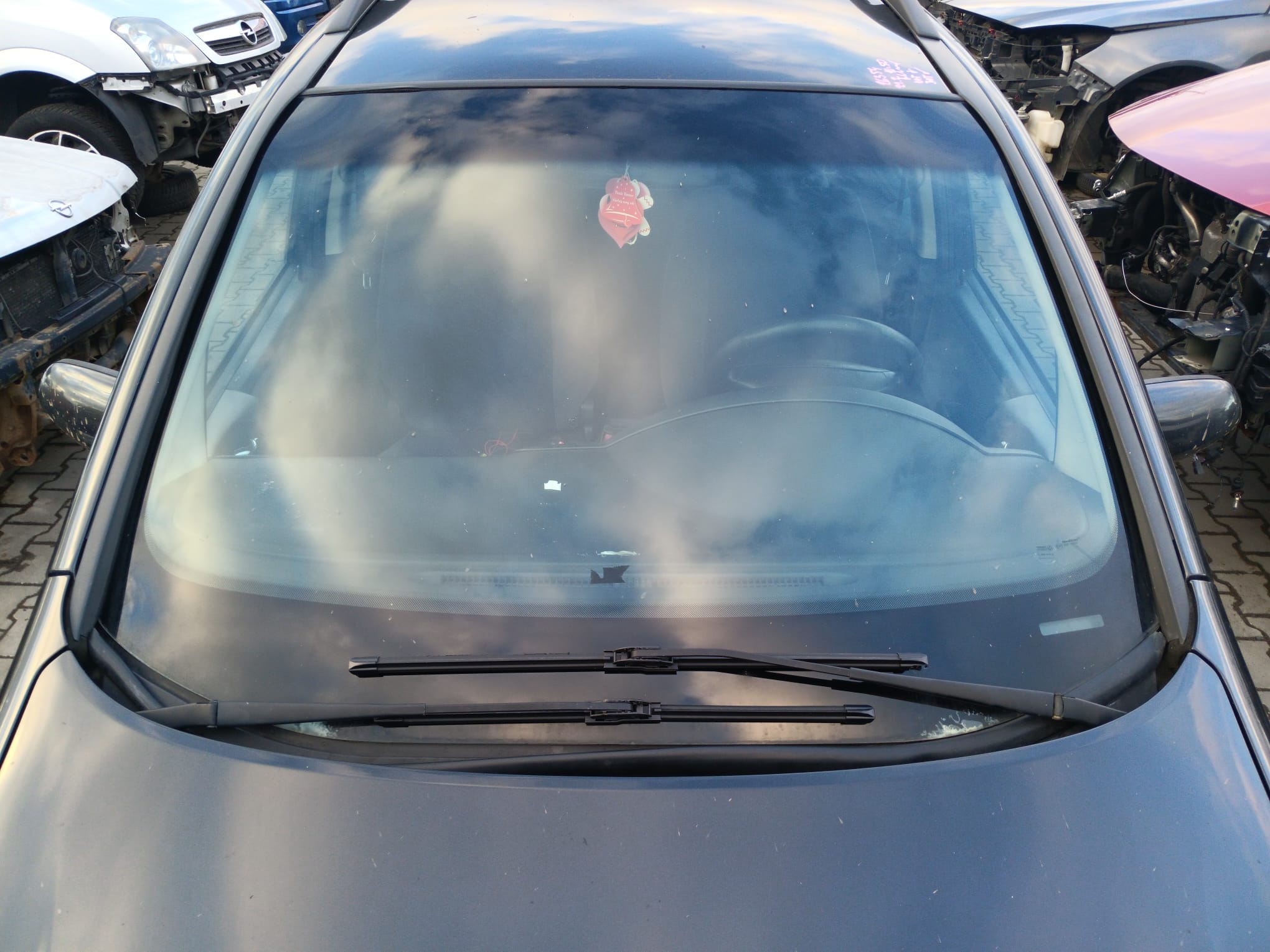 windshield