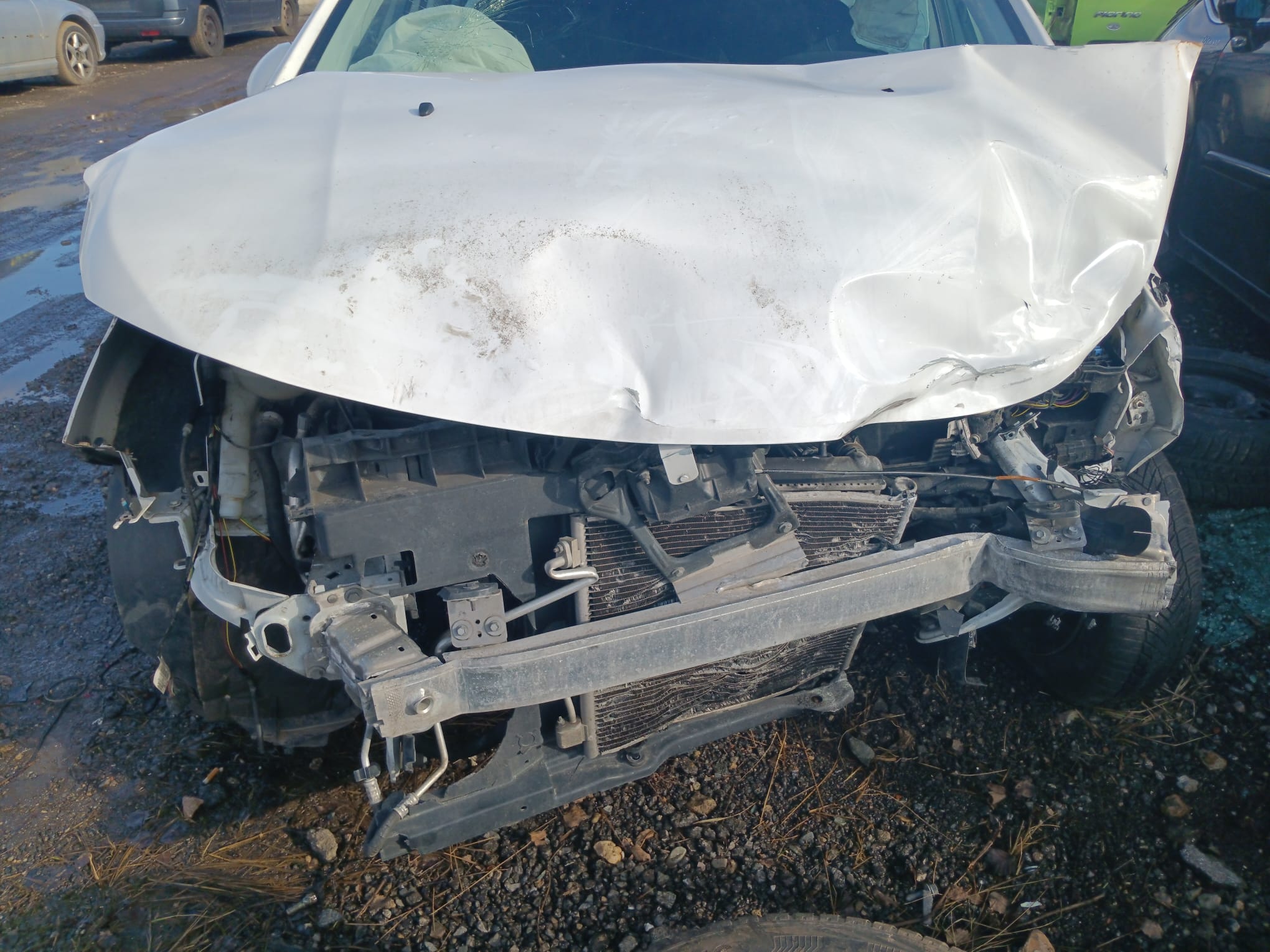 front_bumper