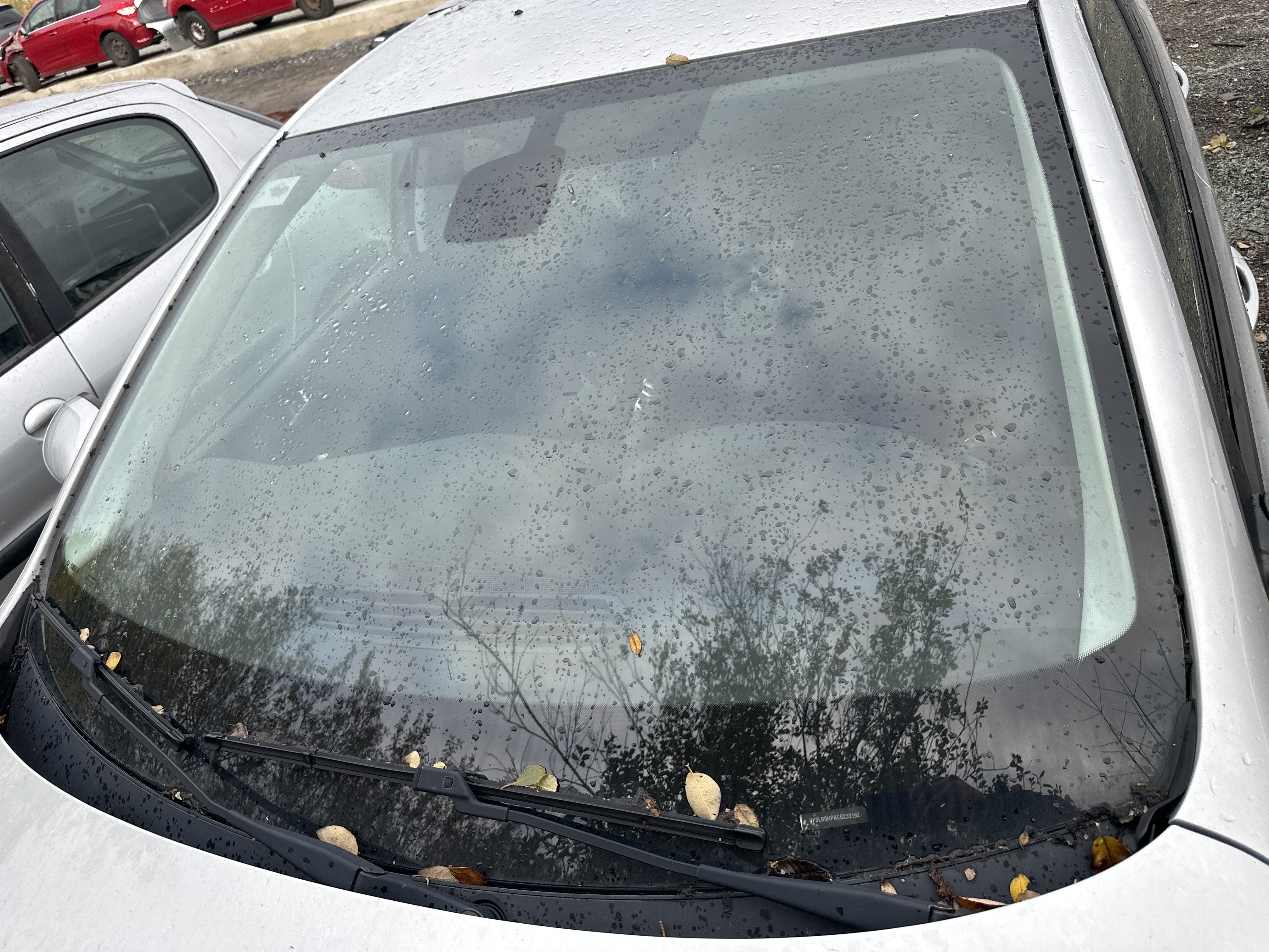 windshield