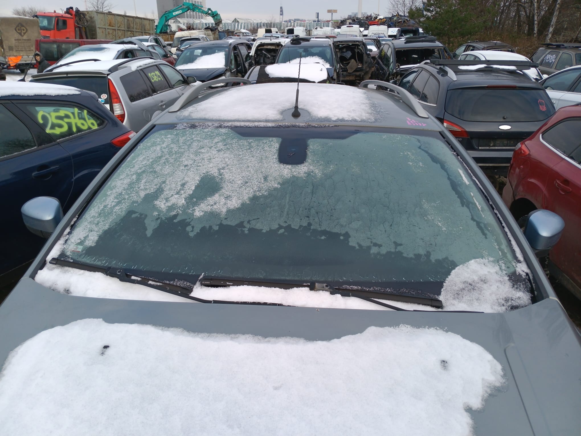 windshield