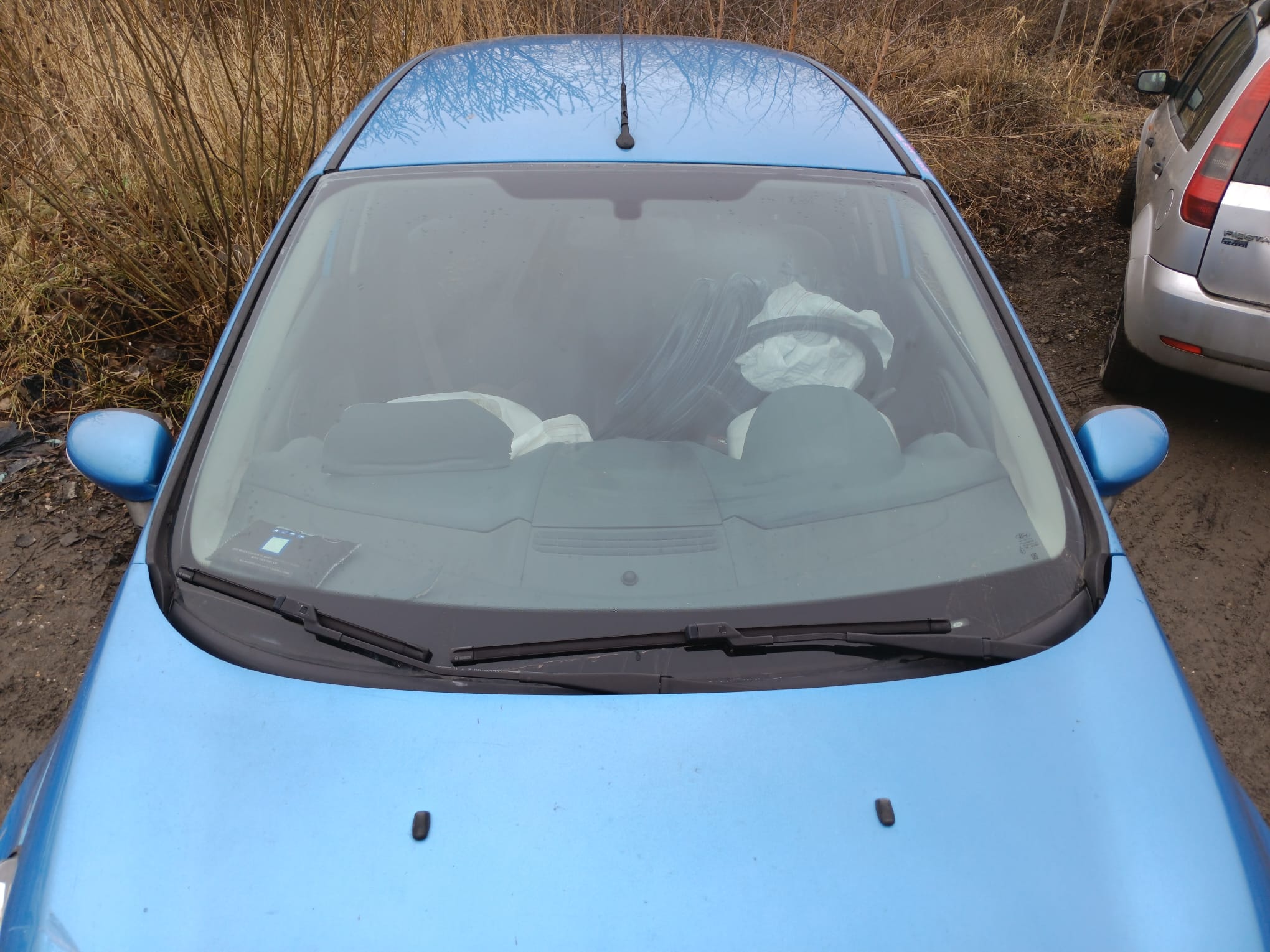 windshield