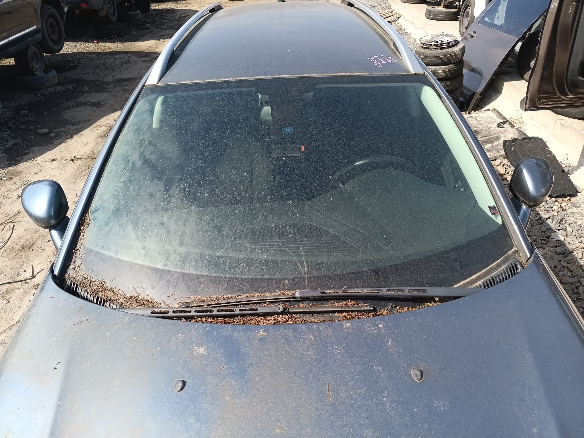 windshield