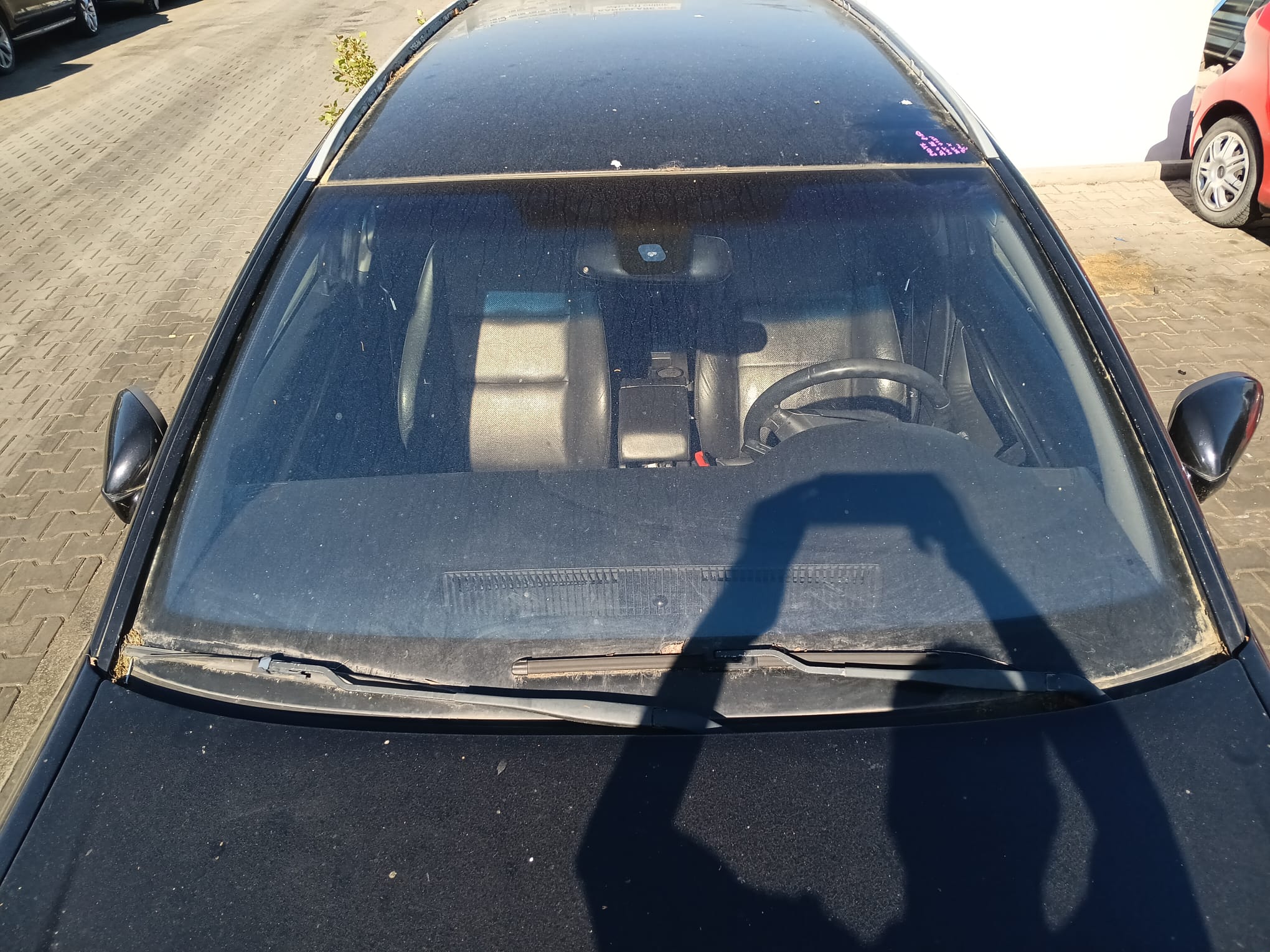 windshield