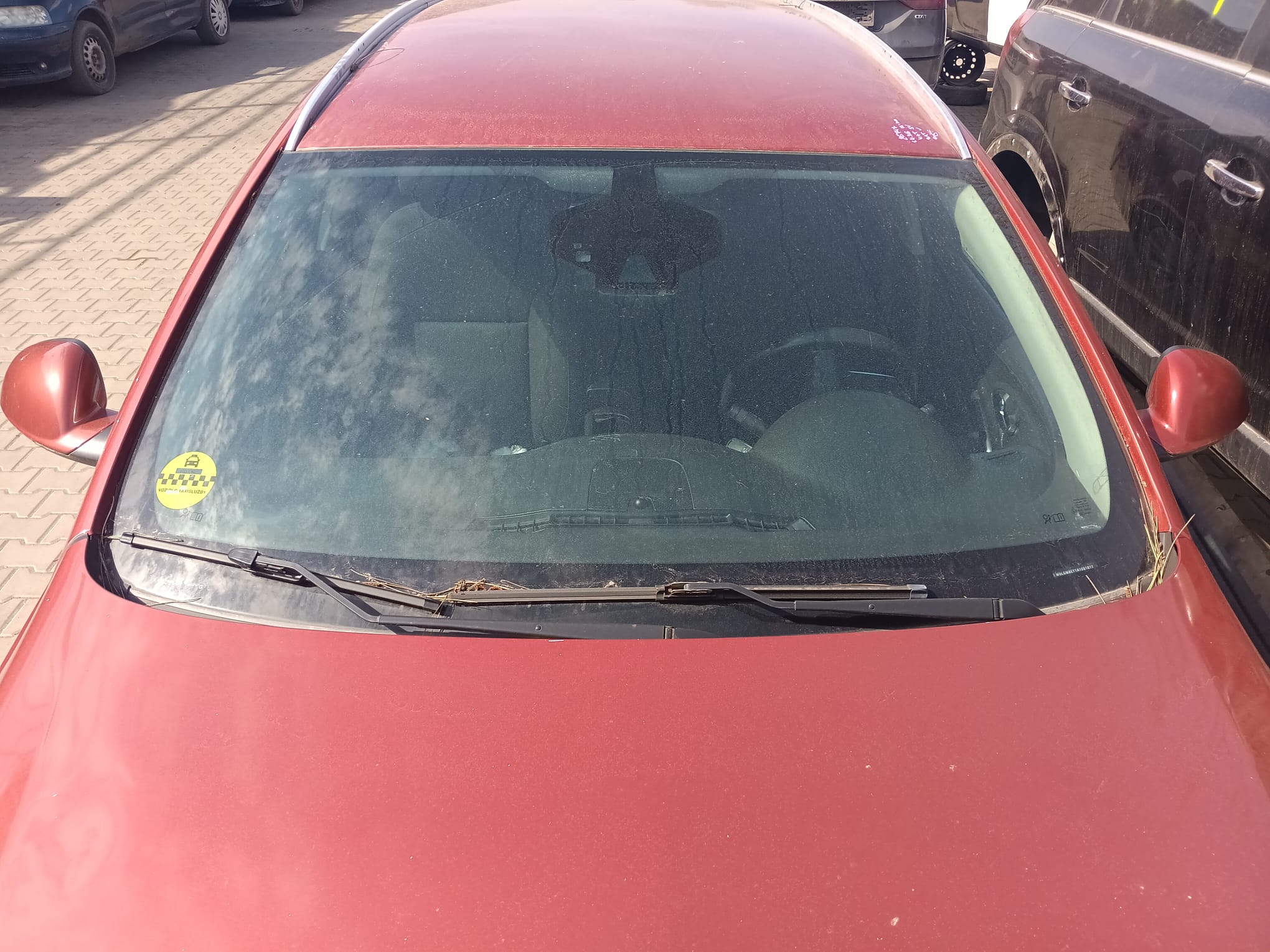 windshield