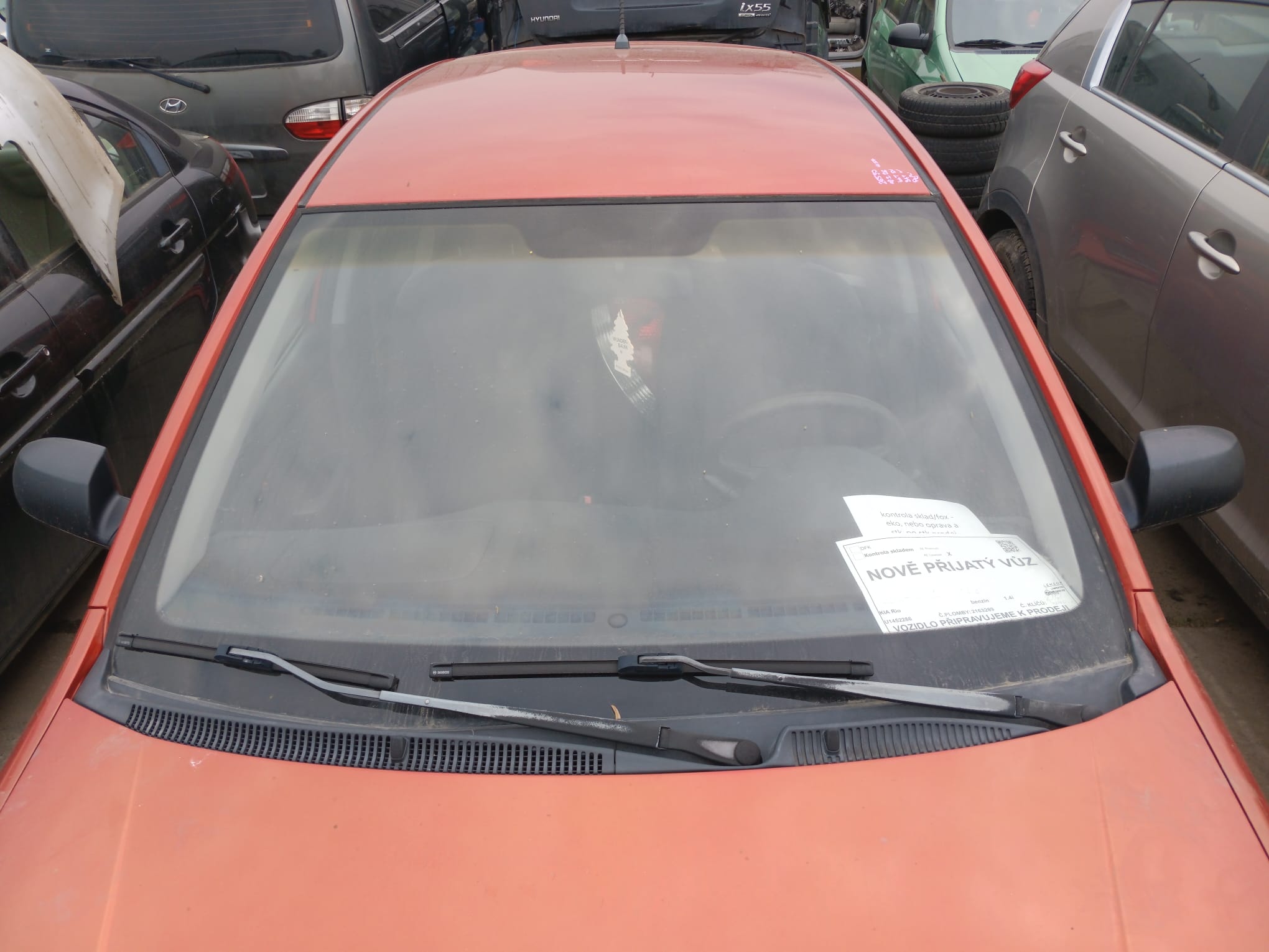 windshield