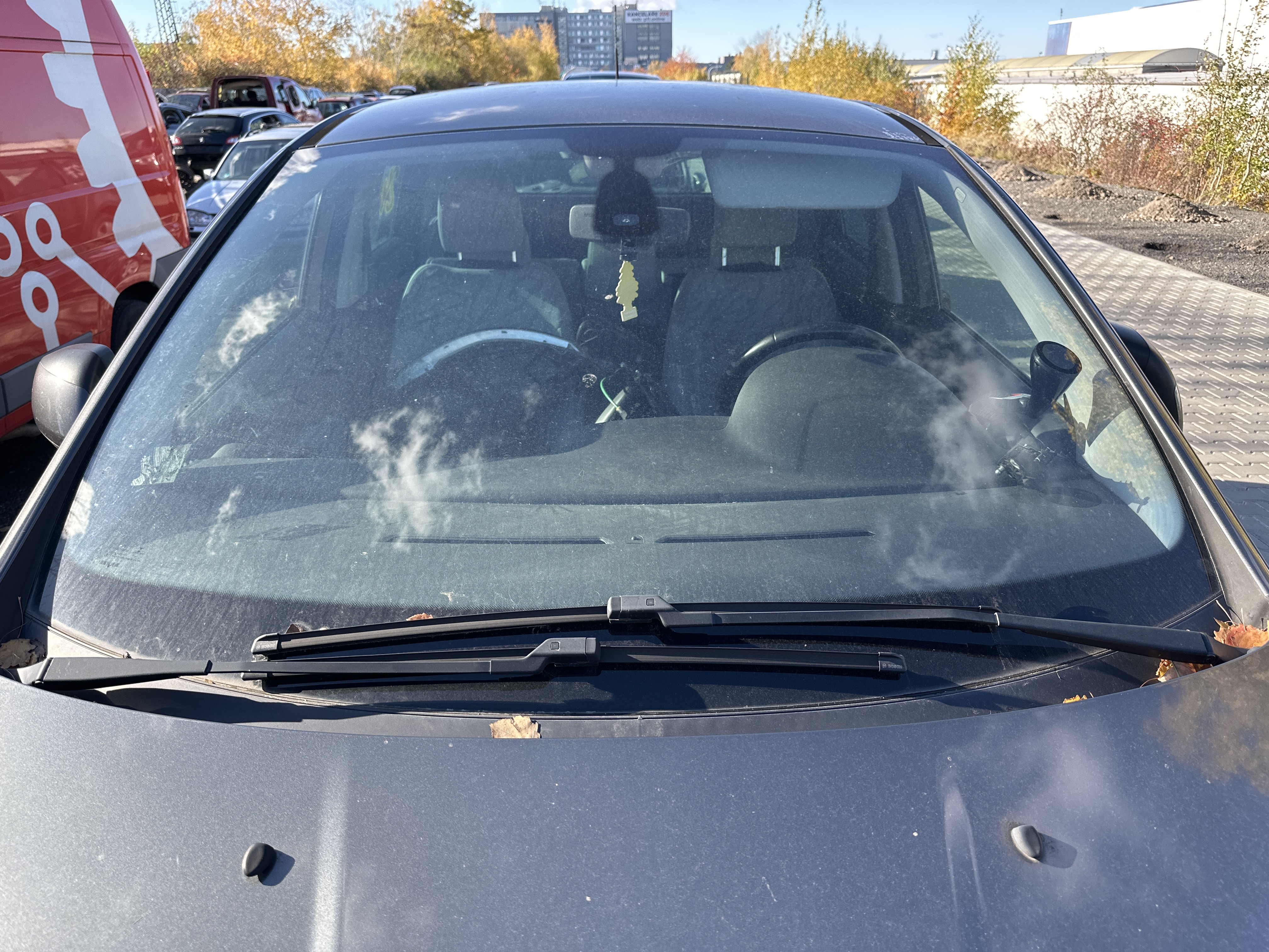 windshield
