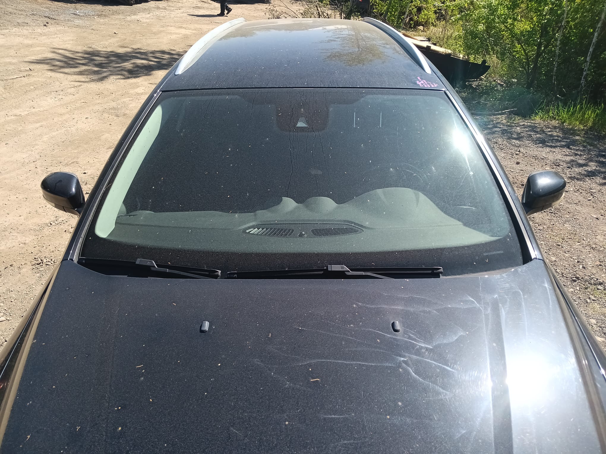 windshield