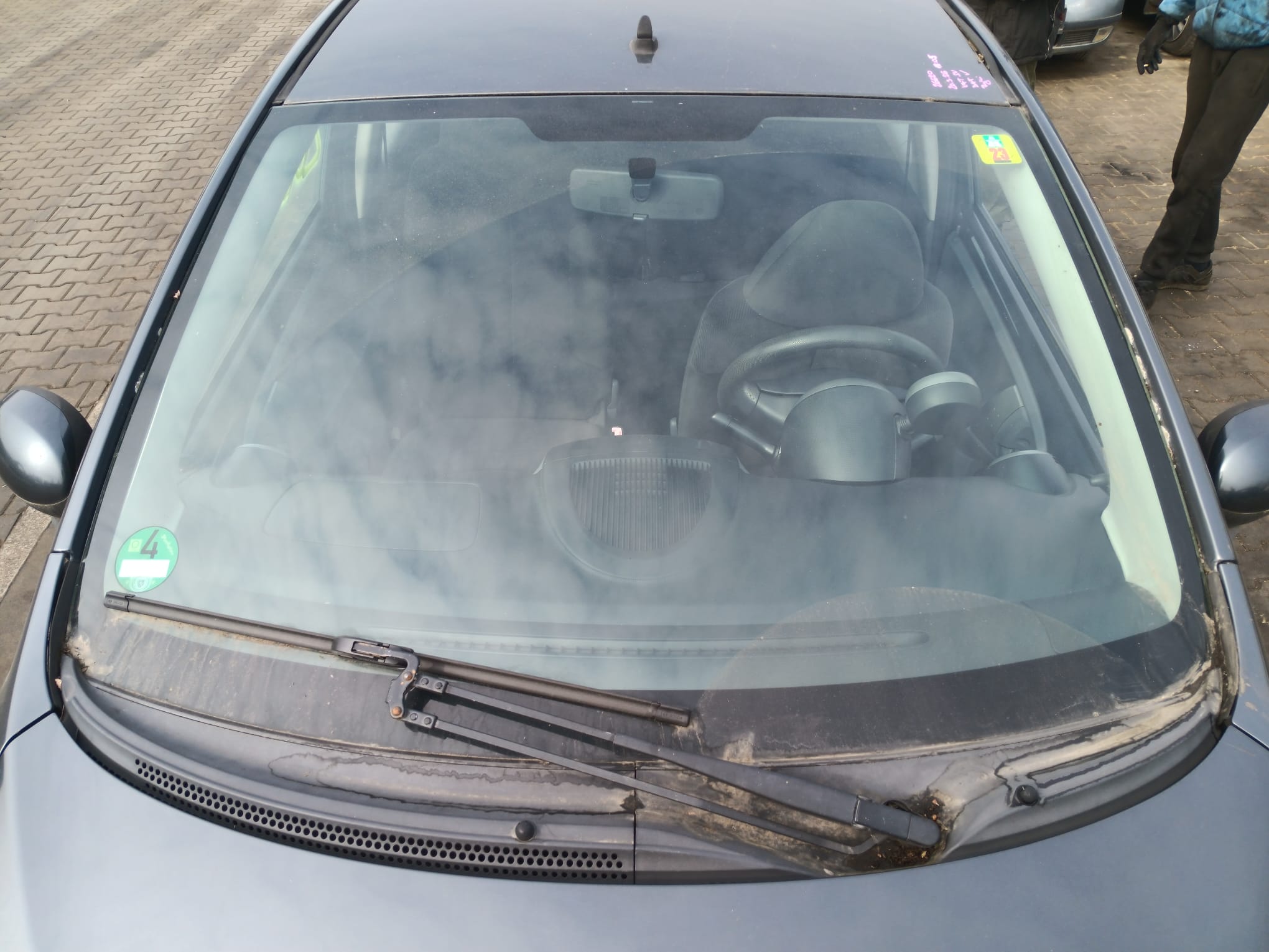 windshield