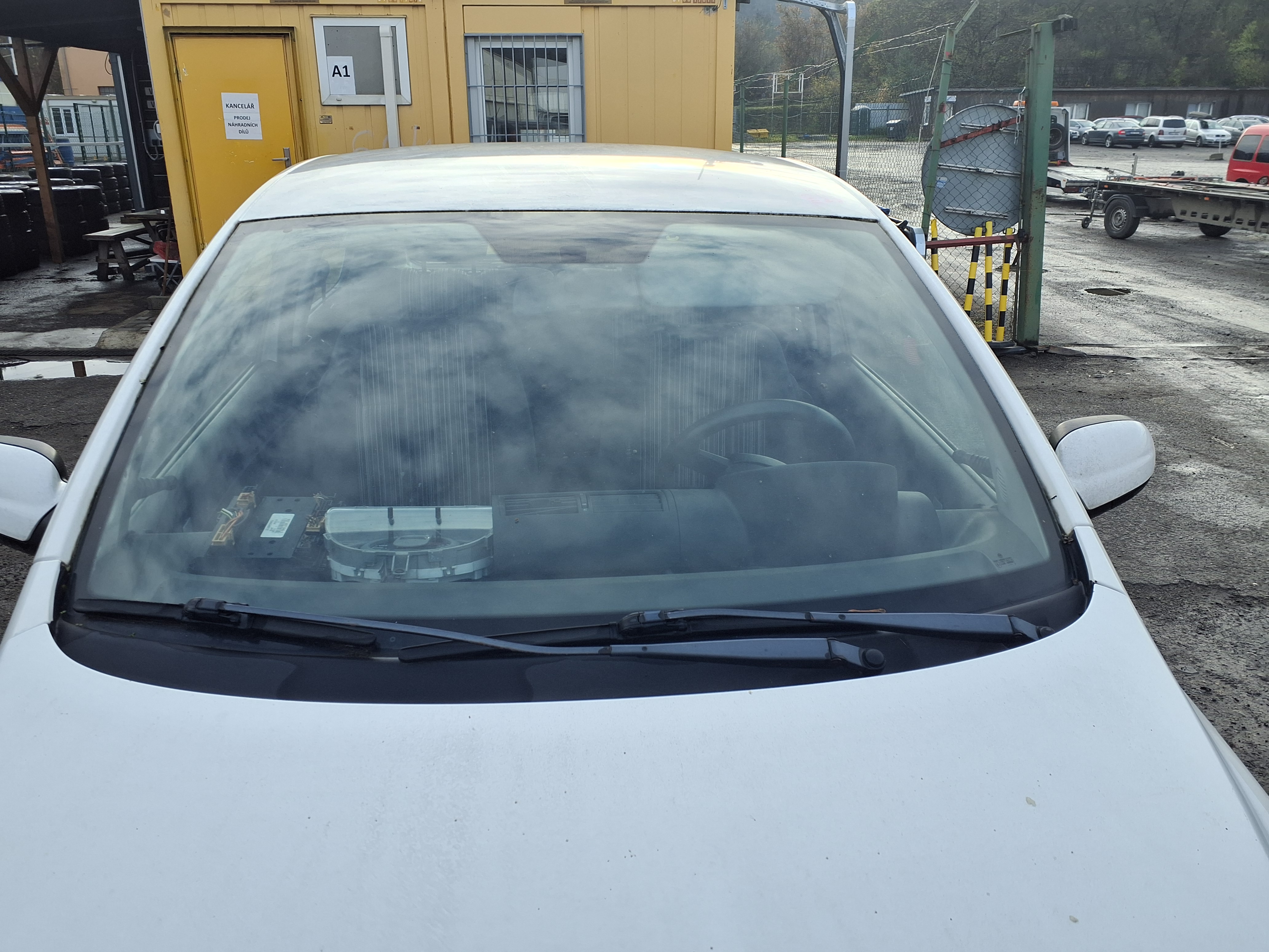 windshield