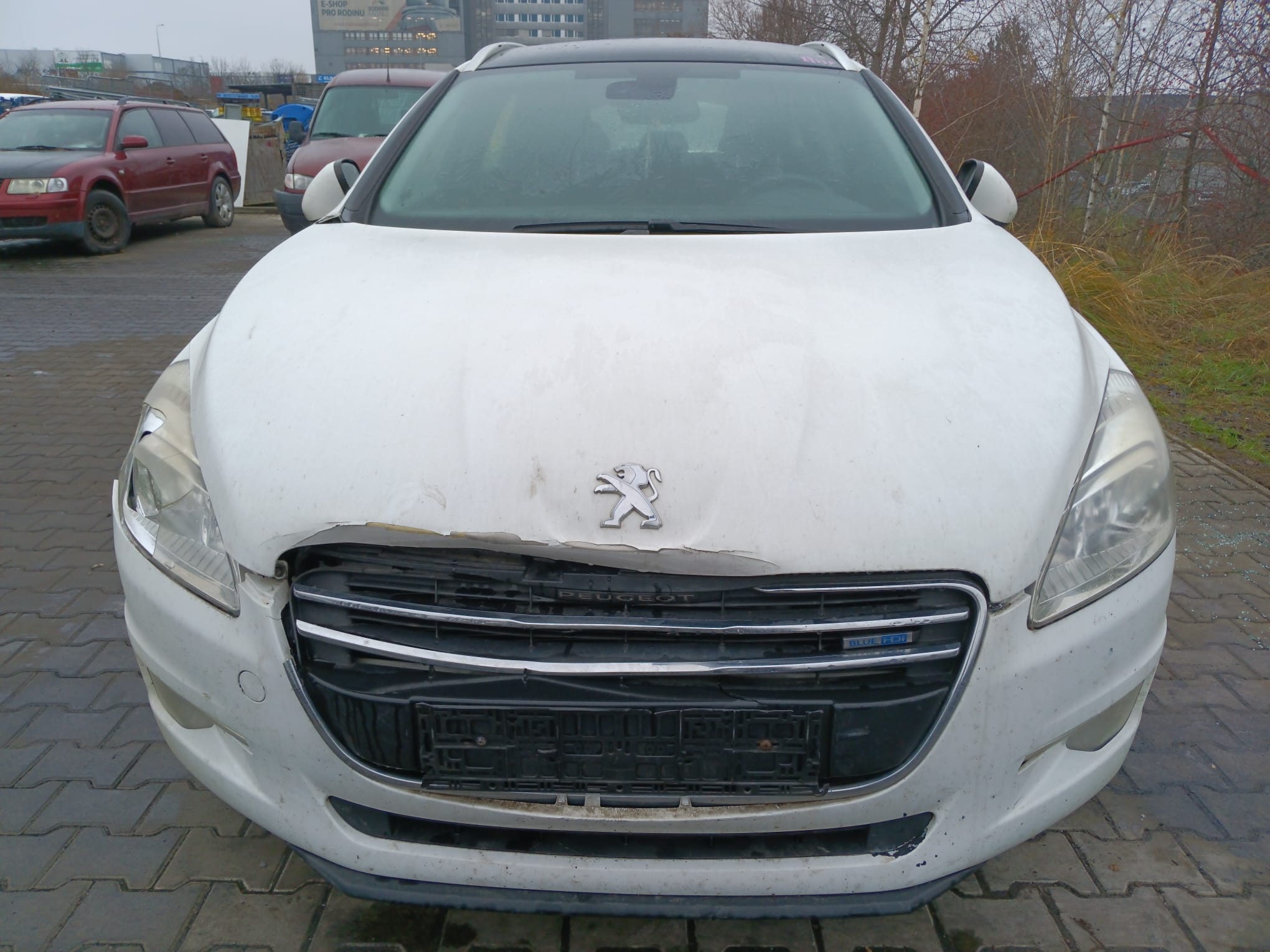 front_view