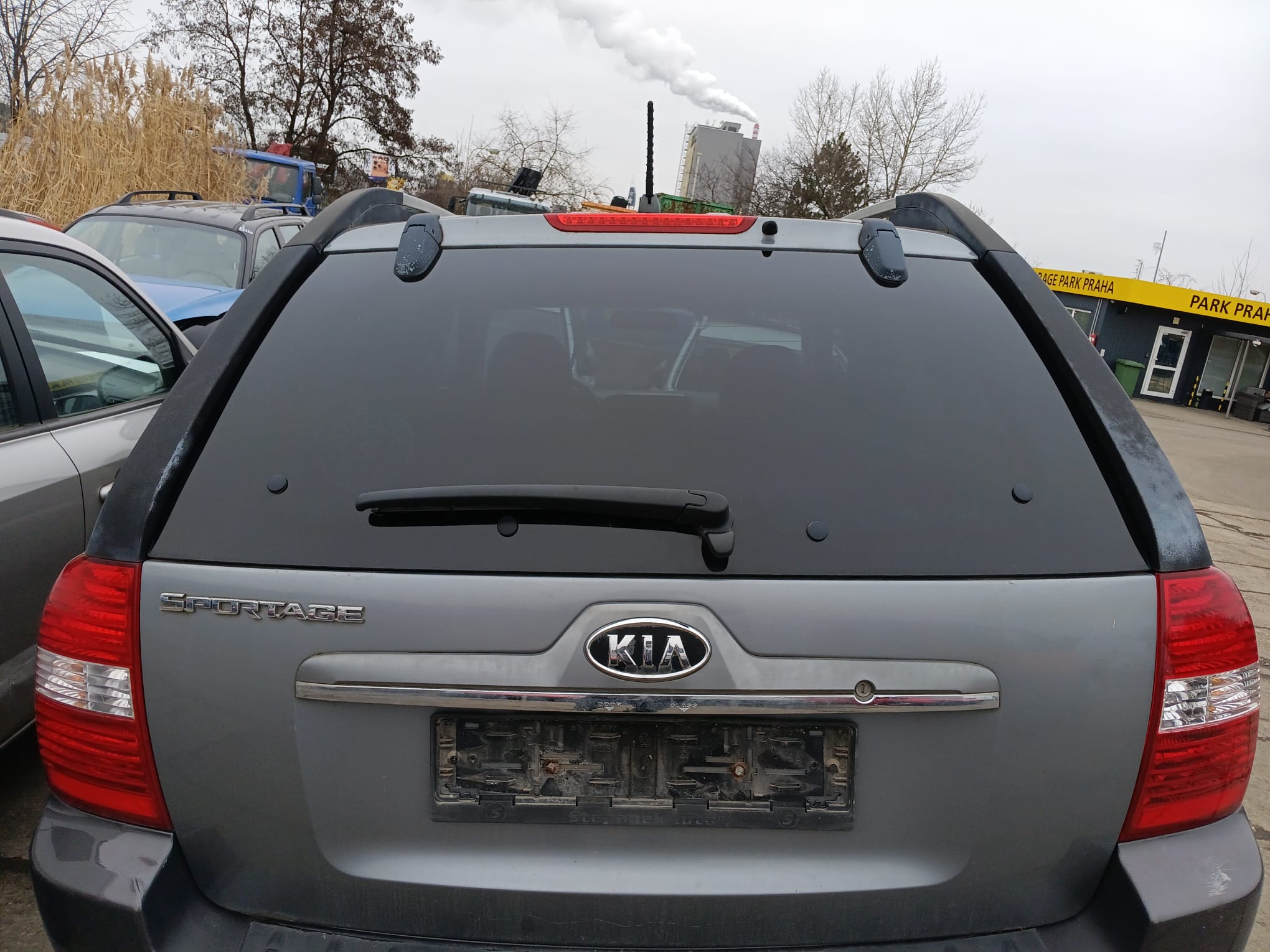 trunk