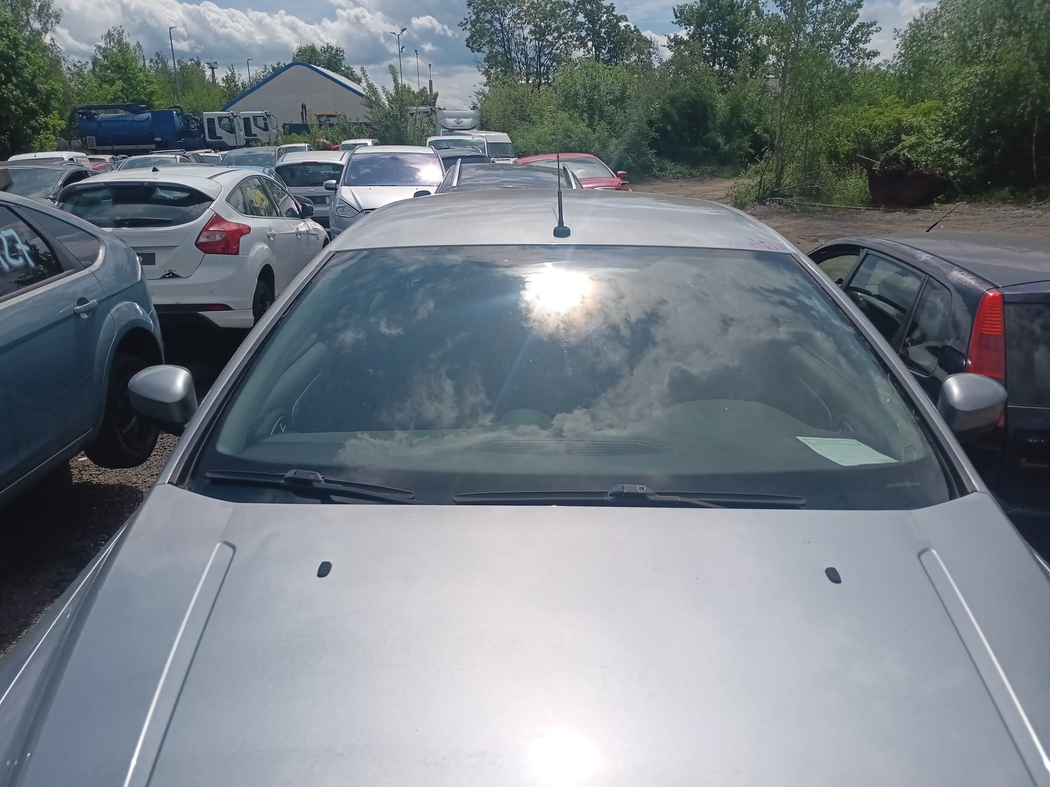 windshield
