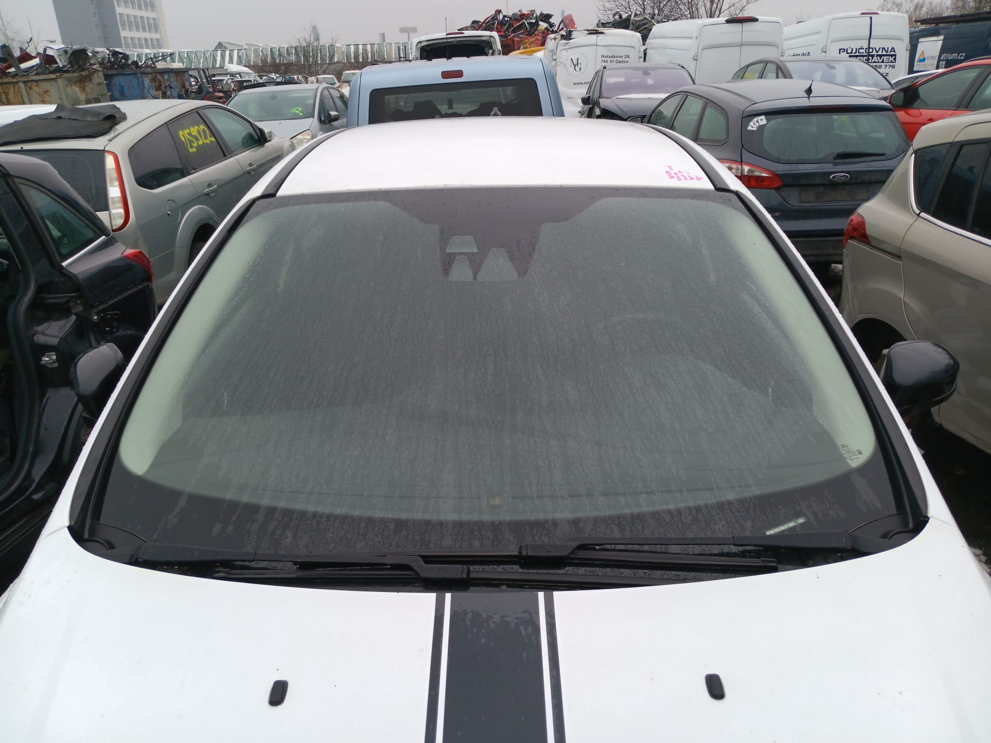 windshield