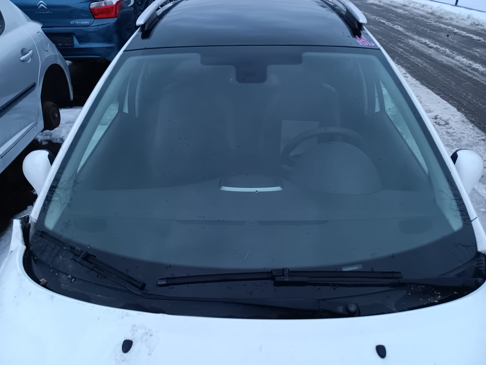 windshield