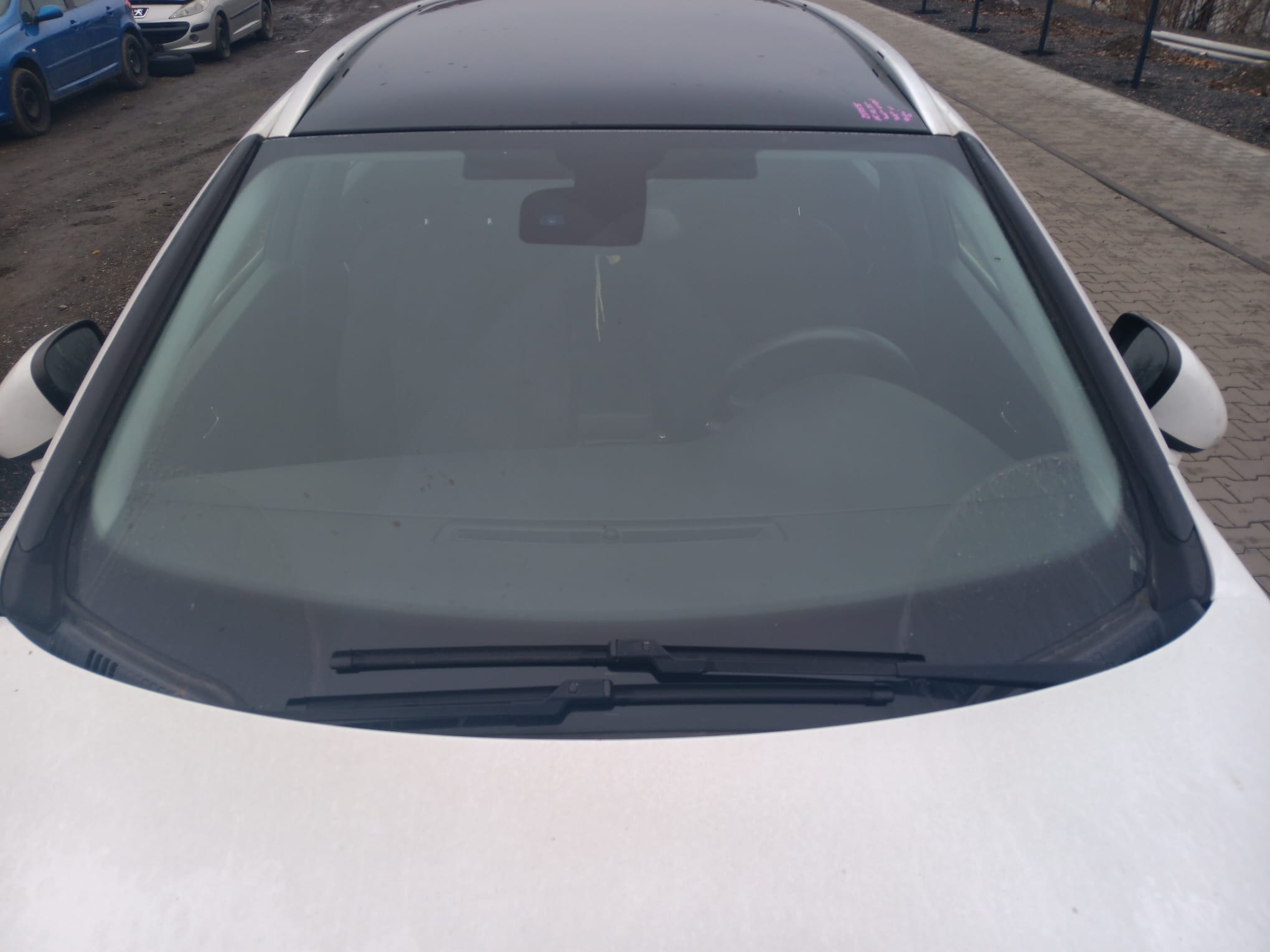 windshield