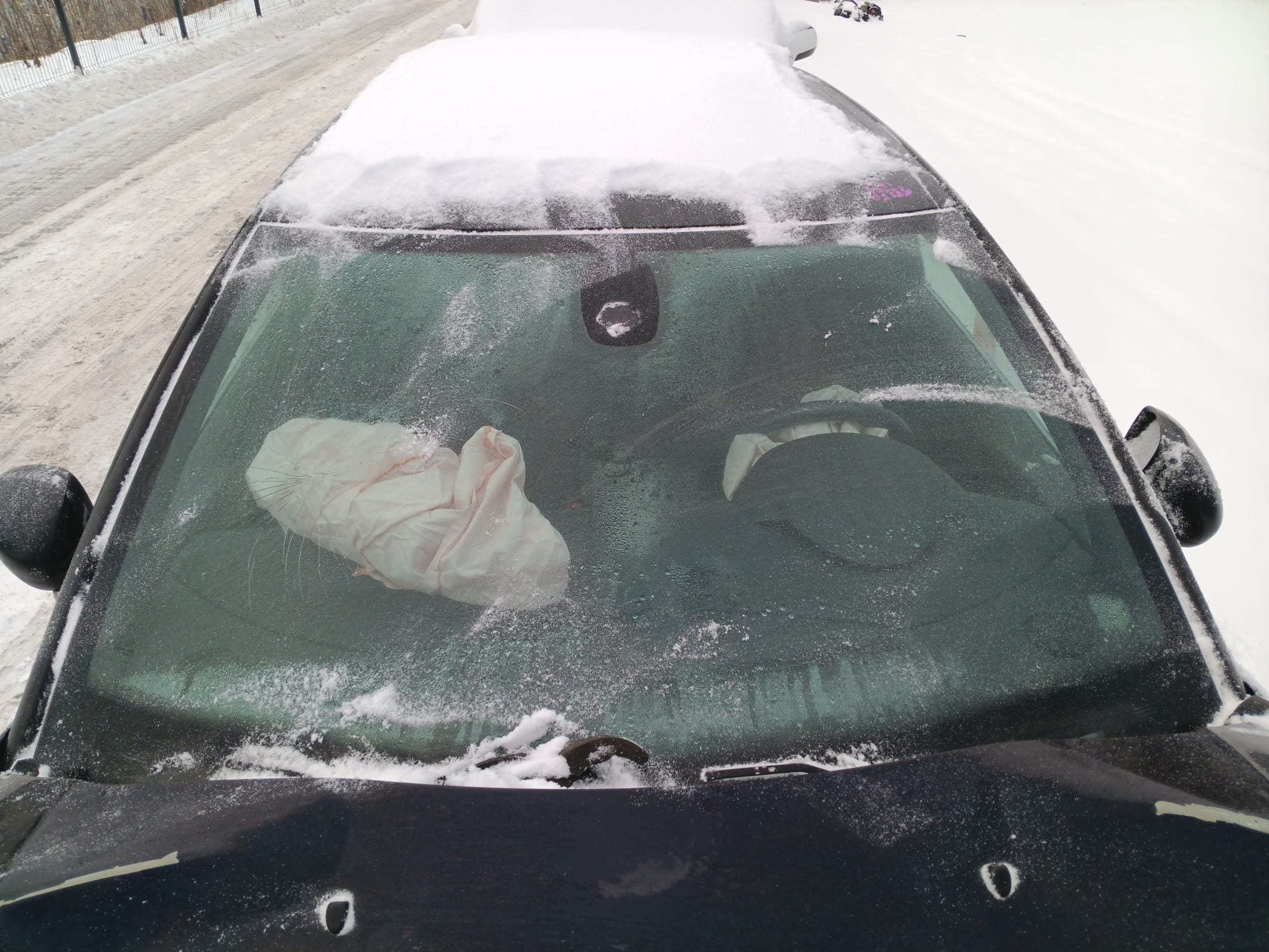 windshield