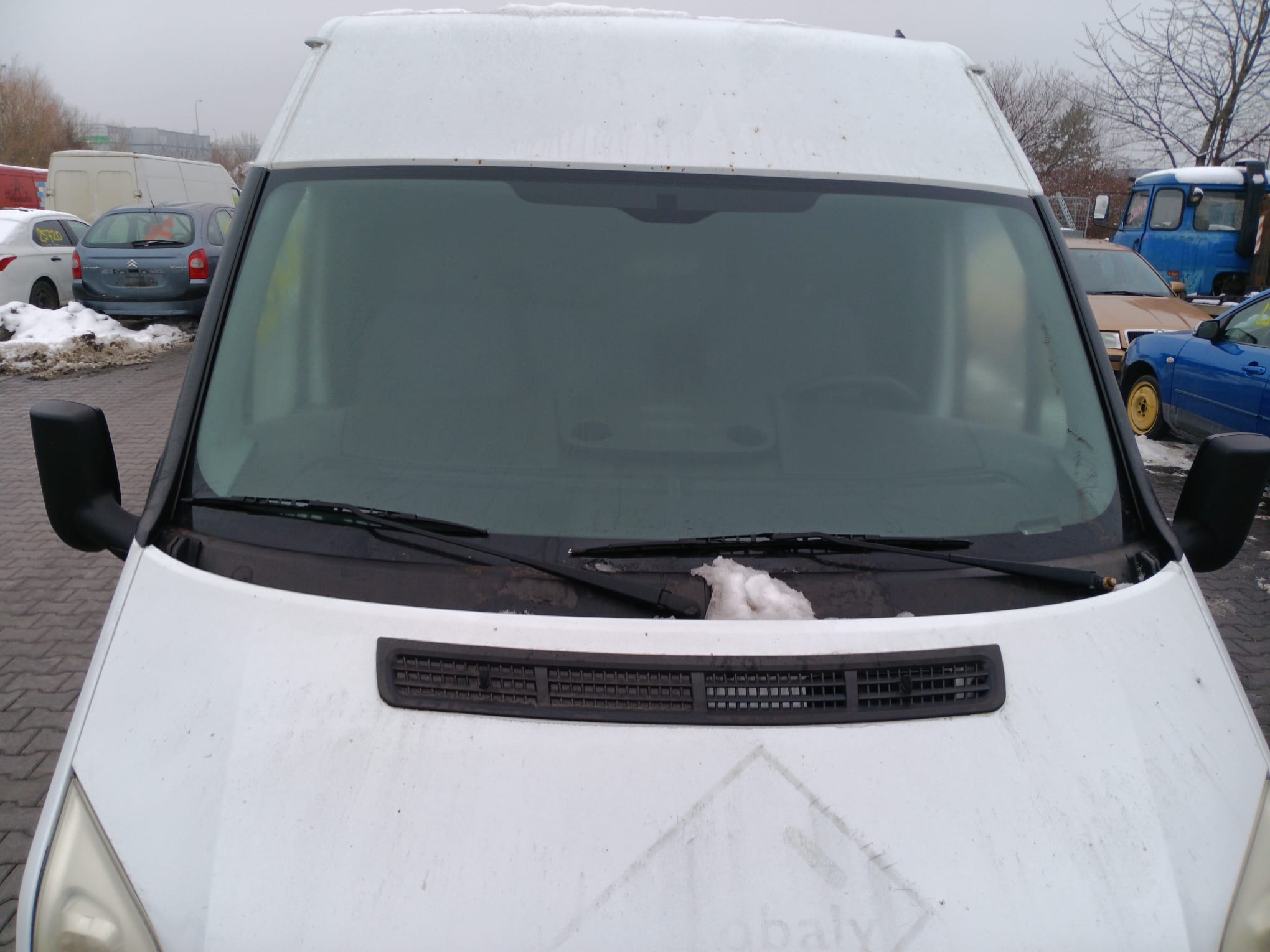 windshield