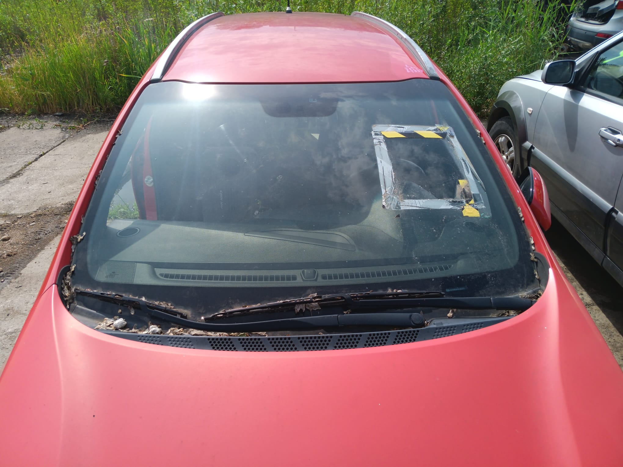 windshield