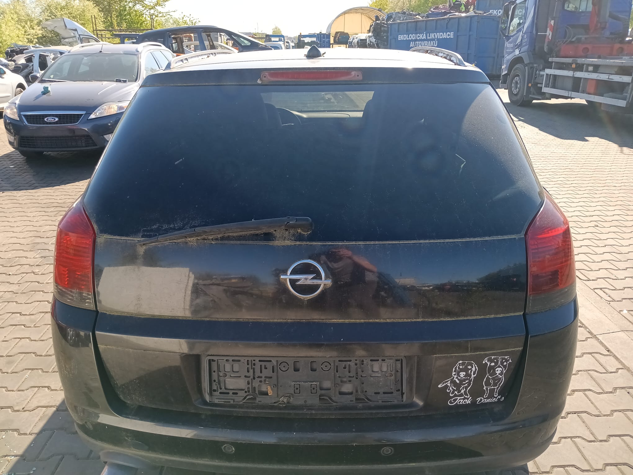 trunk
