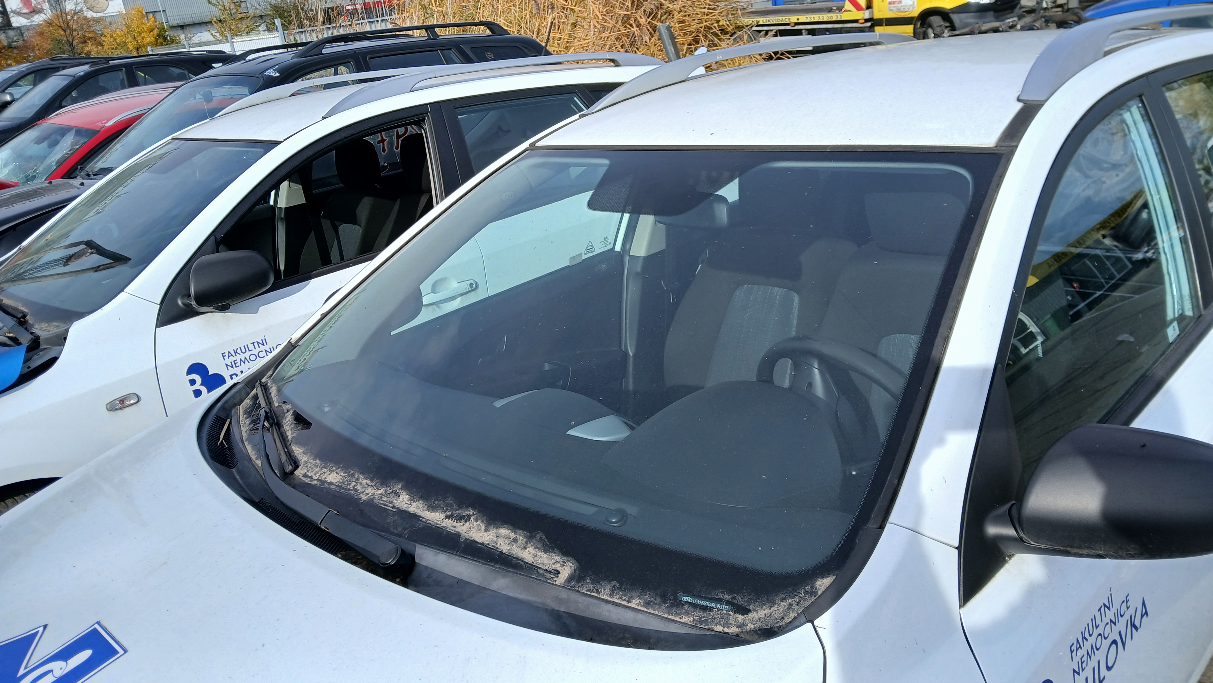 windshield