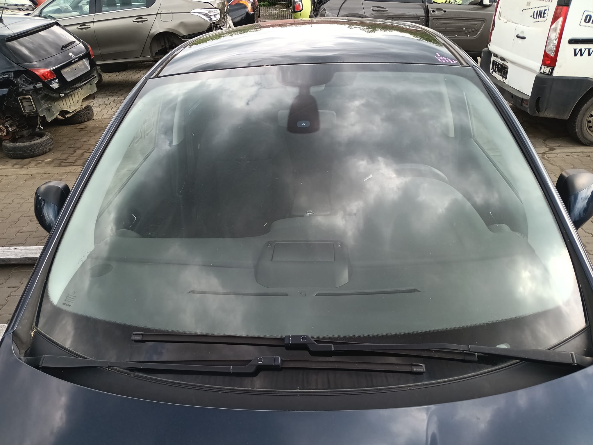 windshield