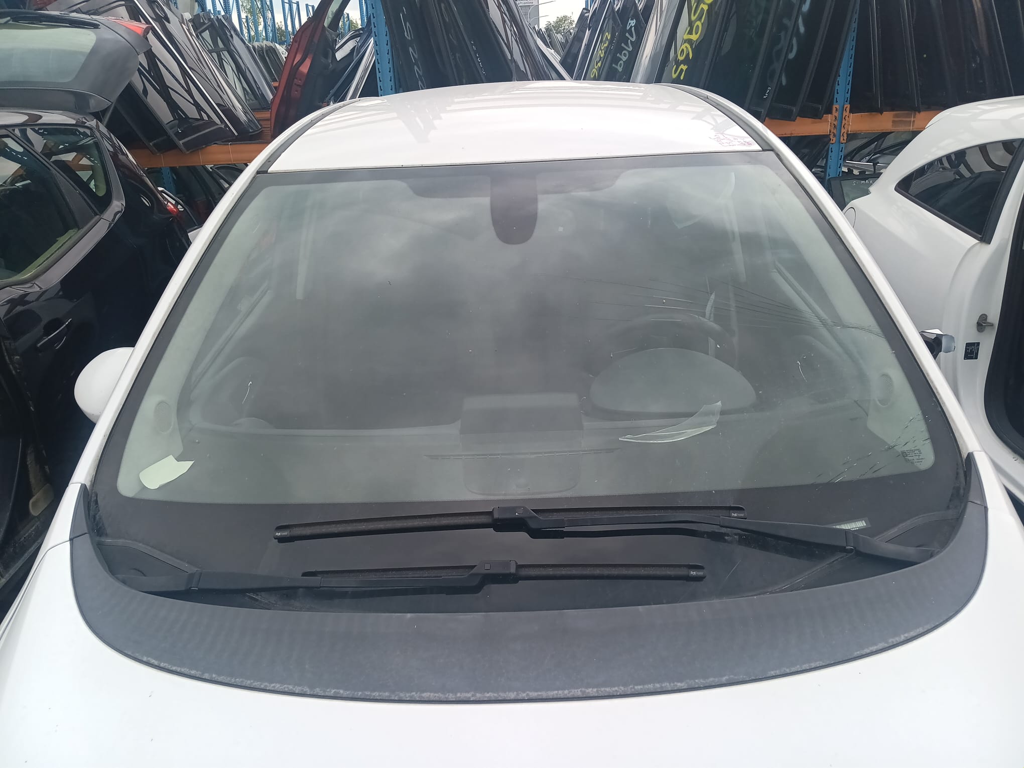 windshield