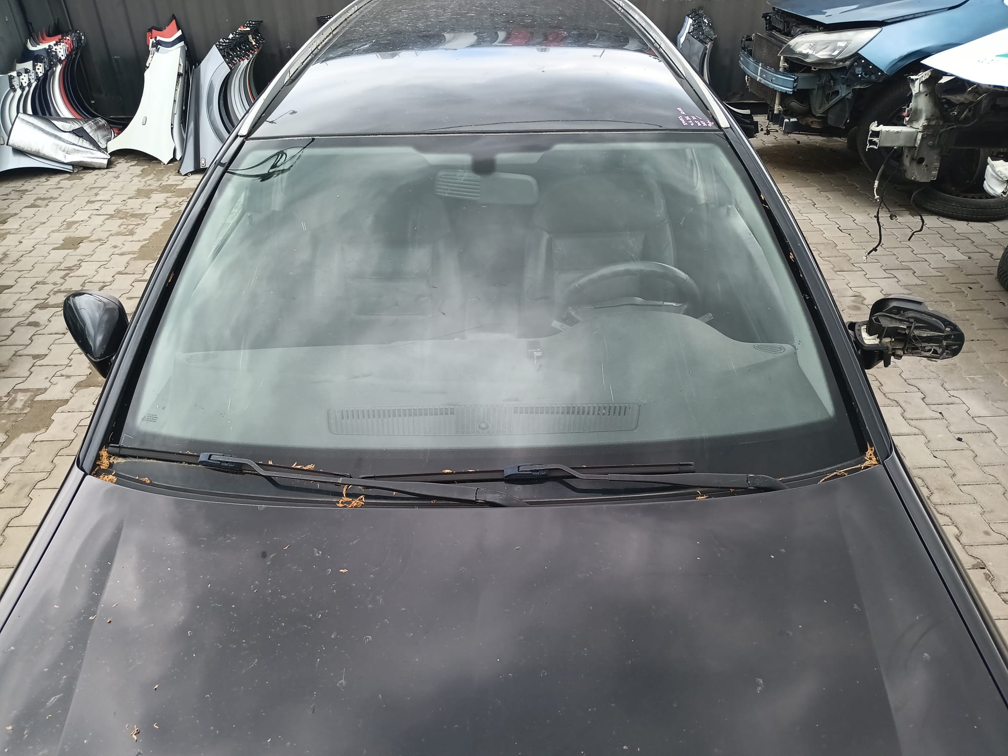 windshield